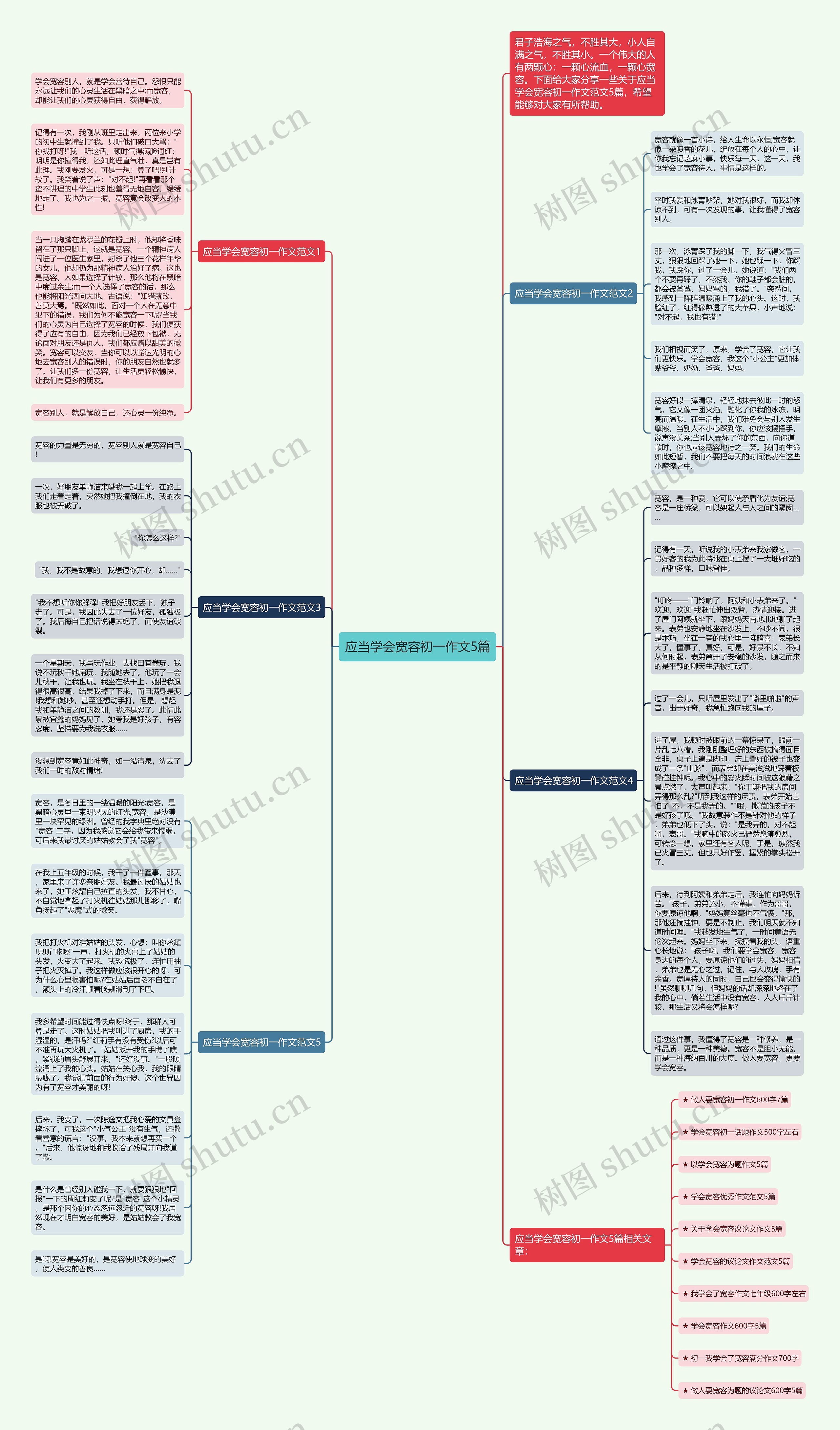 应当学会宽容初一作文5篇思维导图