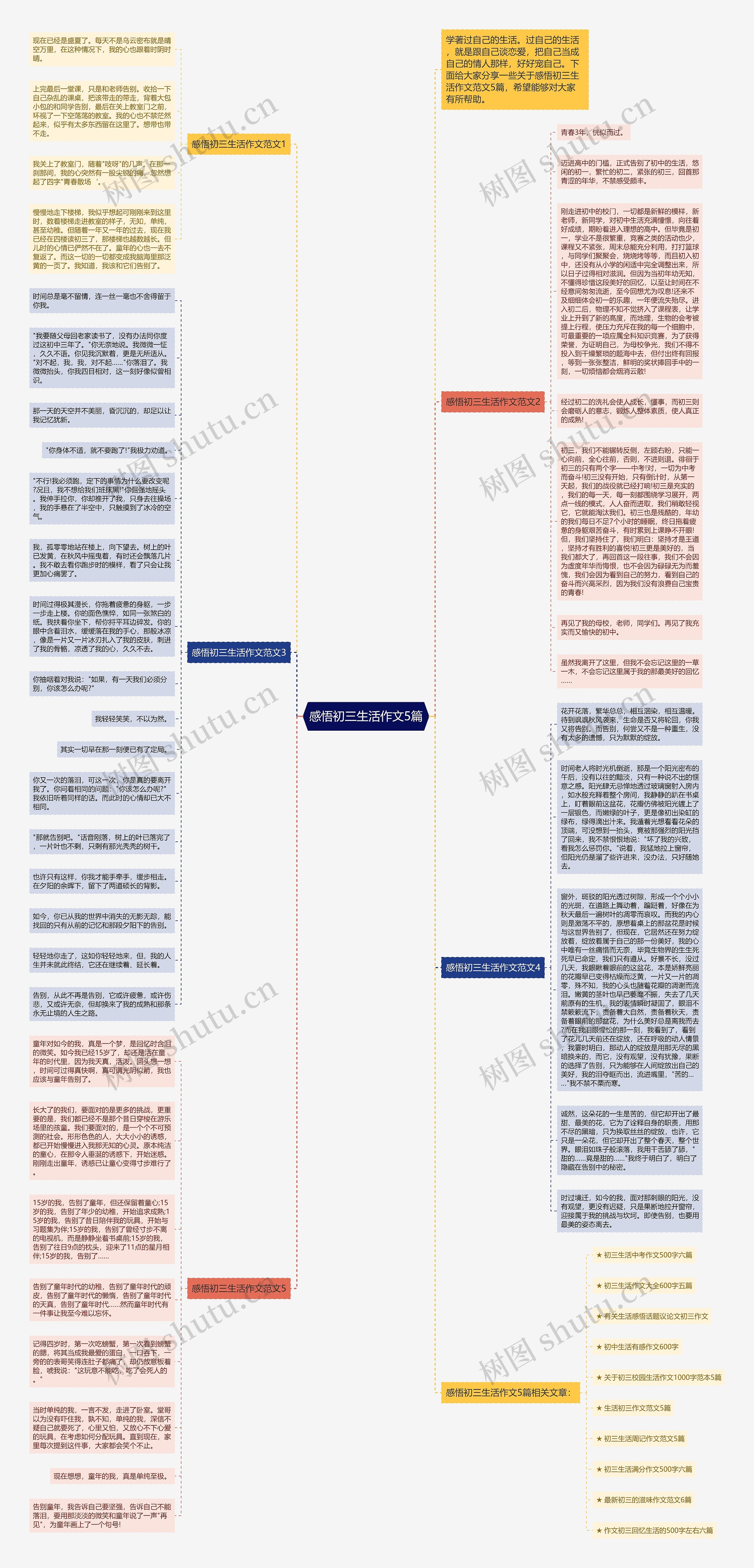 感悟初三生活作文5篇思维导图