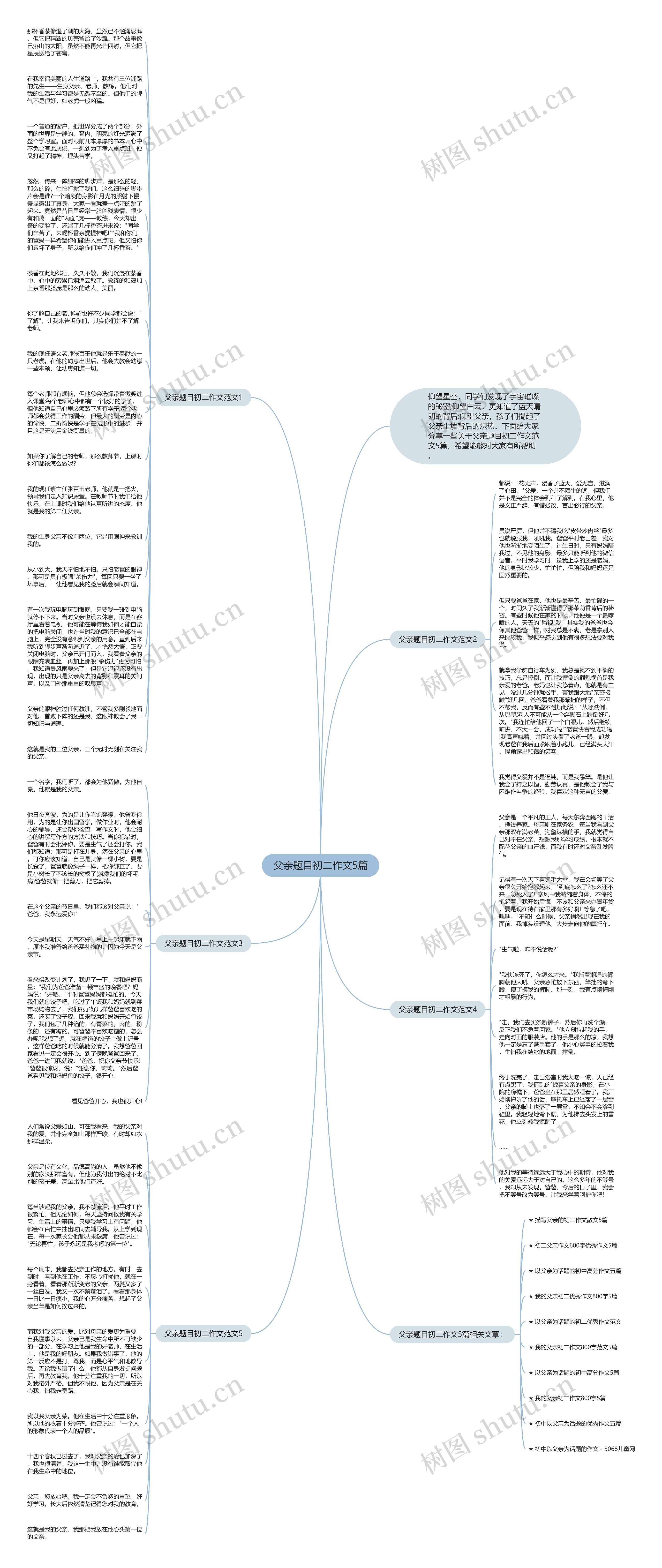 父亲题目初二作文5篇思维导图