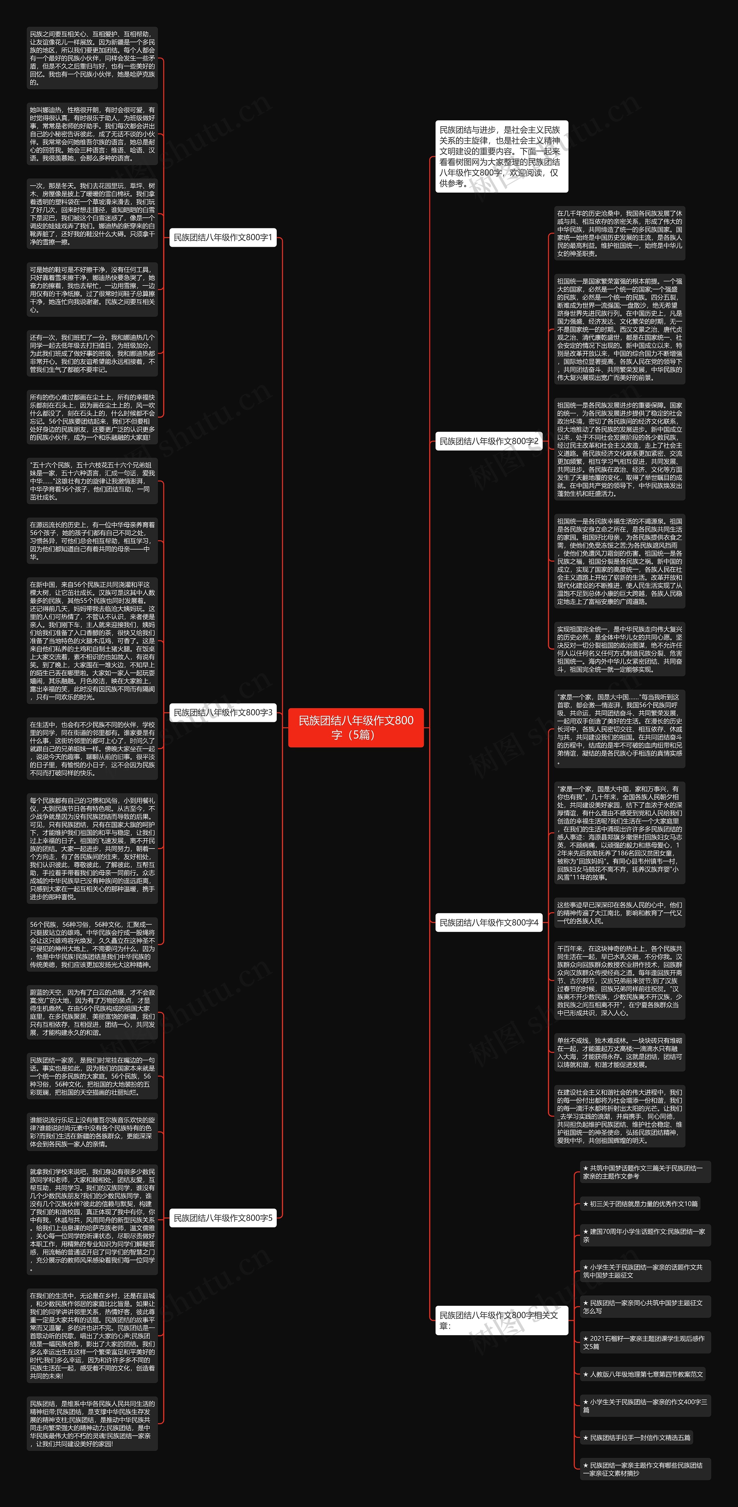 民族团结八年级作文800字（5篇）思维导图