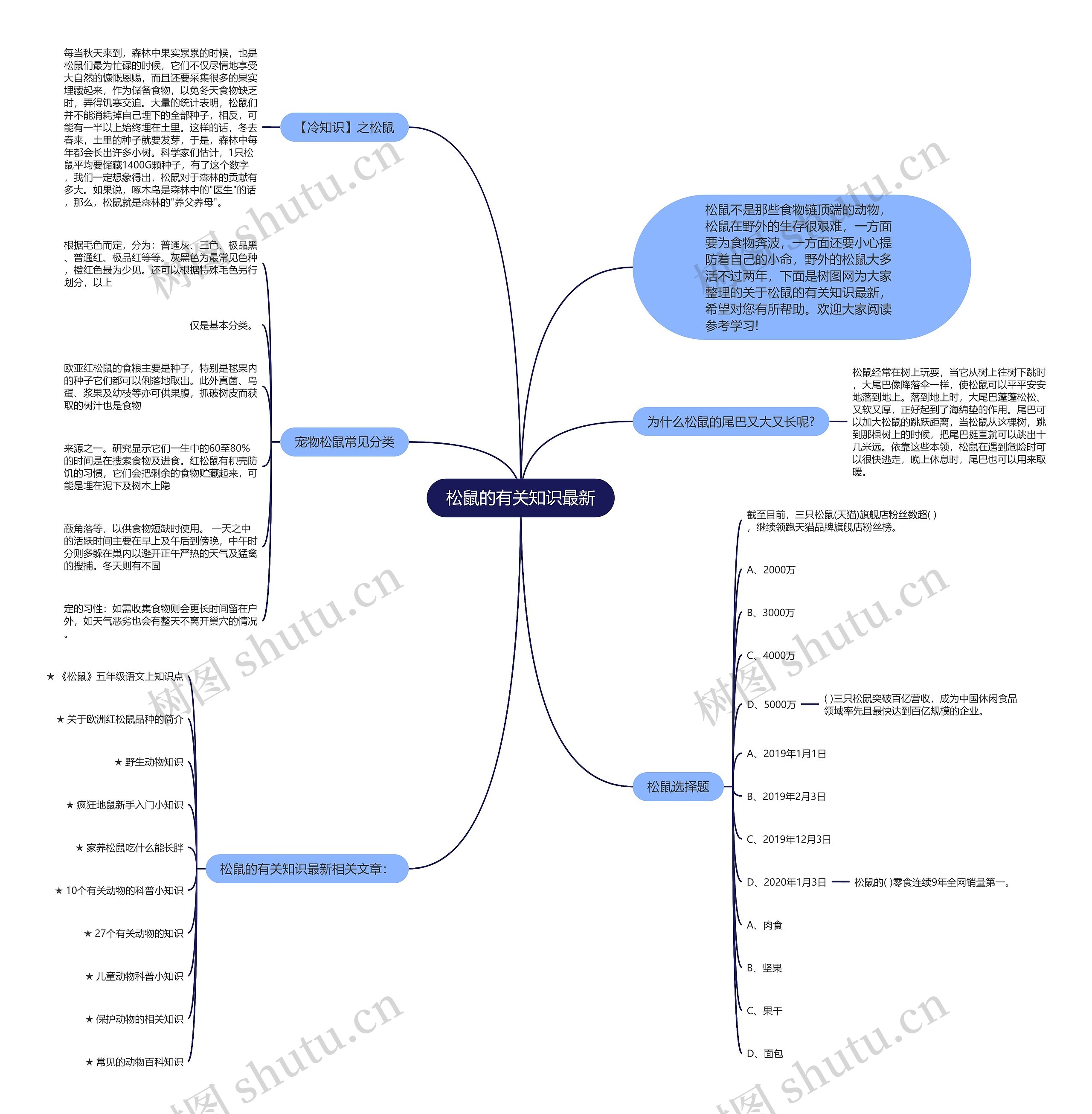 松鼠的有关知识最新思维导图