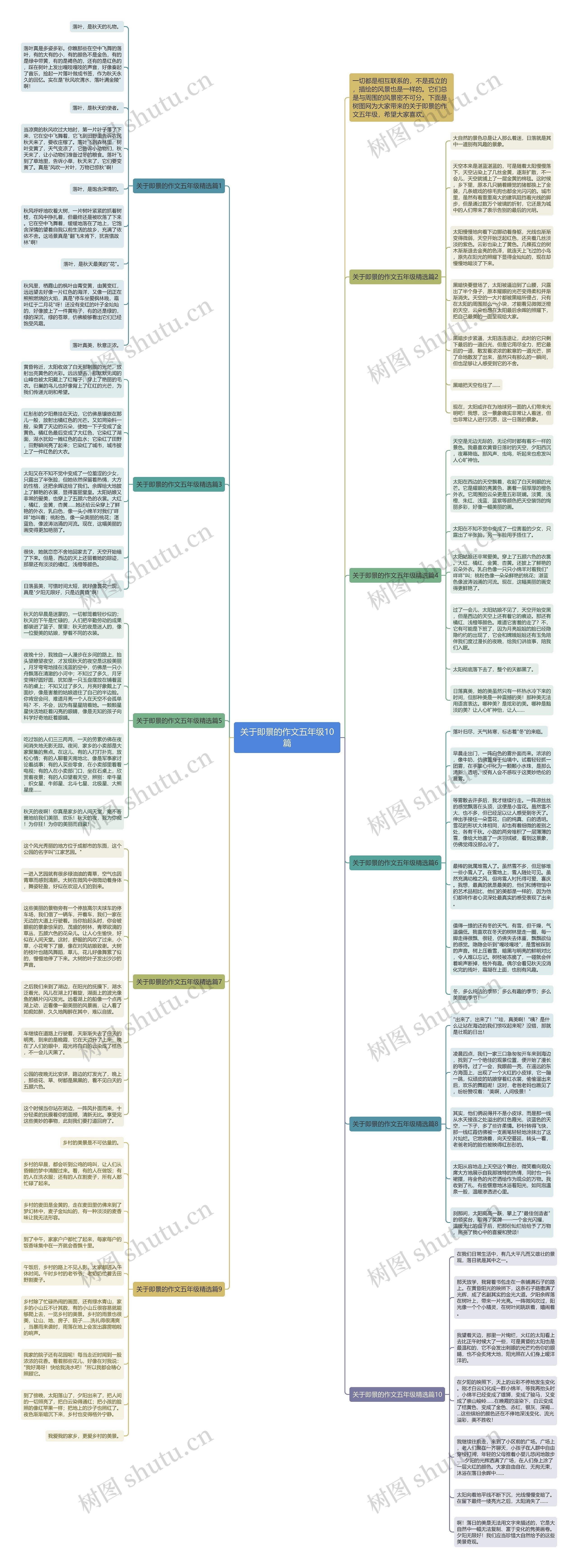 关于即景的作文五年级10篇思维导图