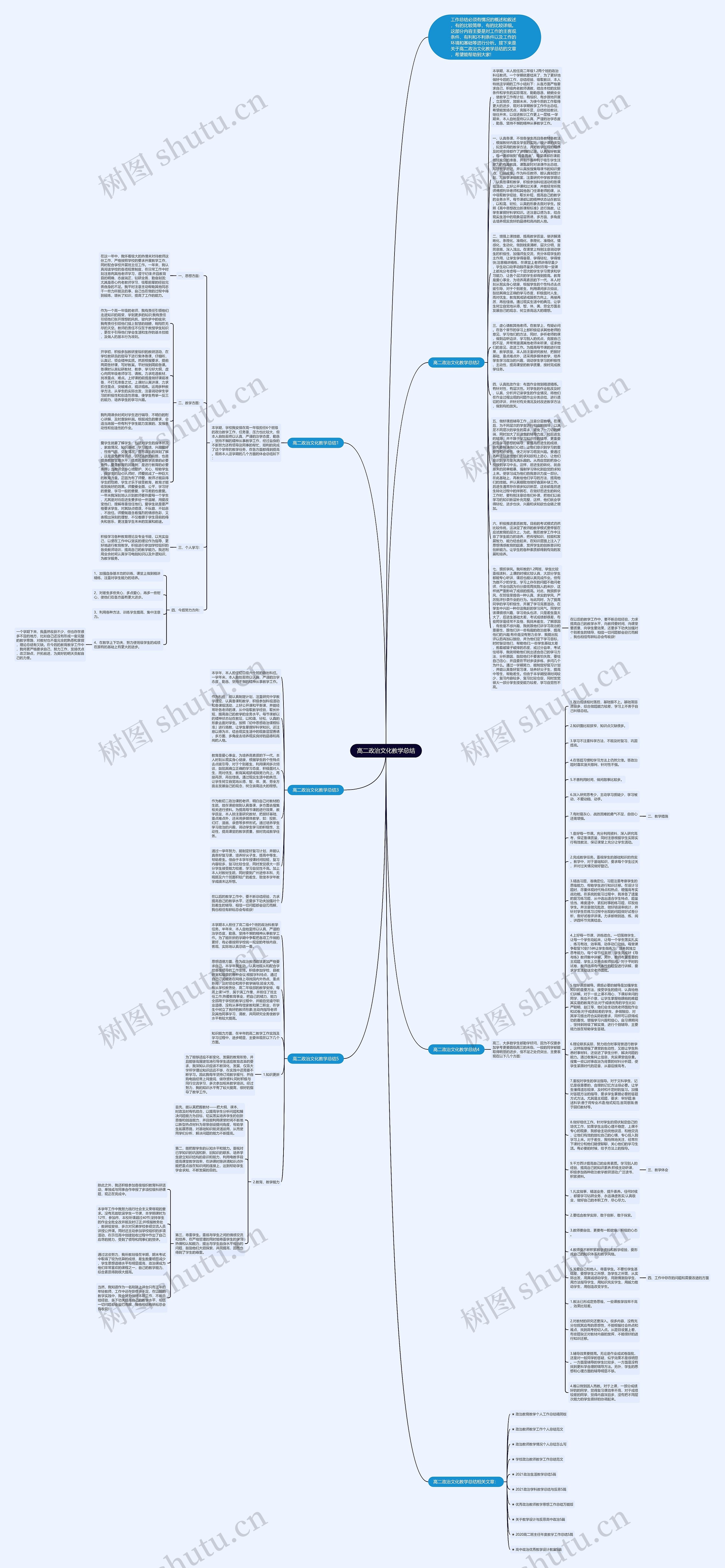 高二政治文化教学总结思维导图