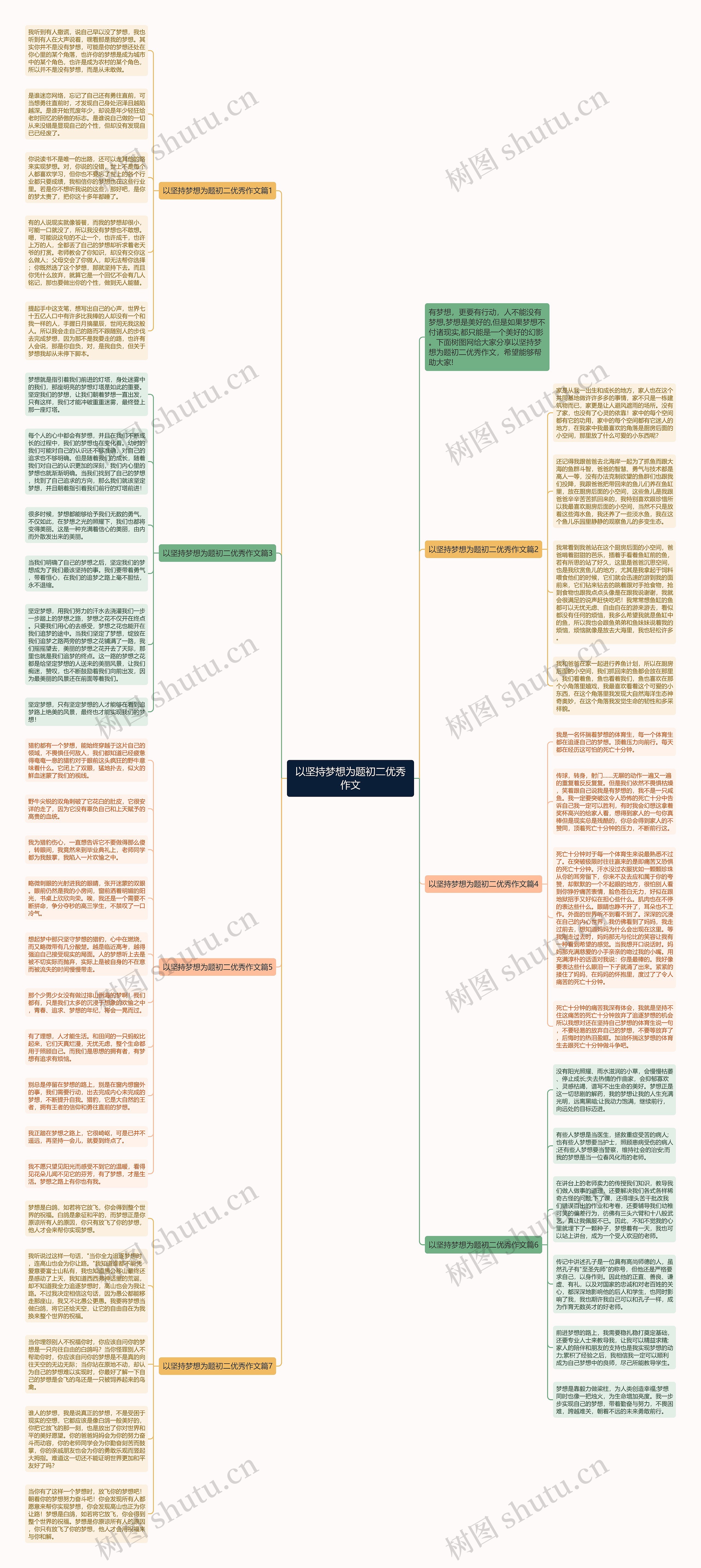 以坚持梦想为题初二优秀作文思维导图