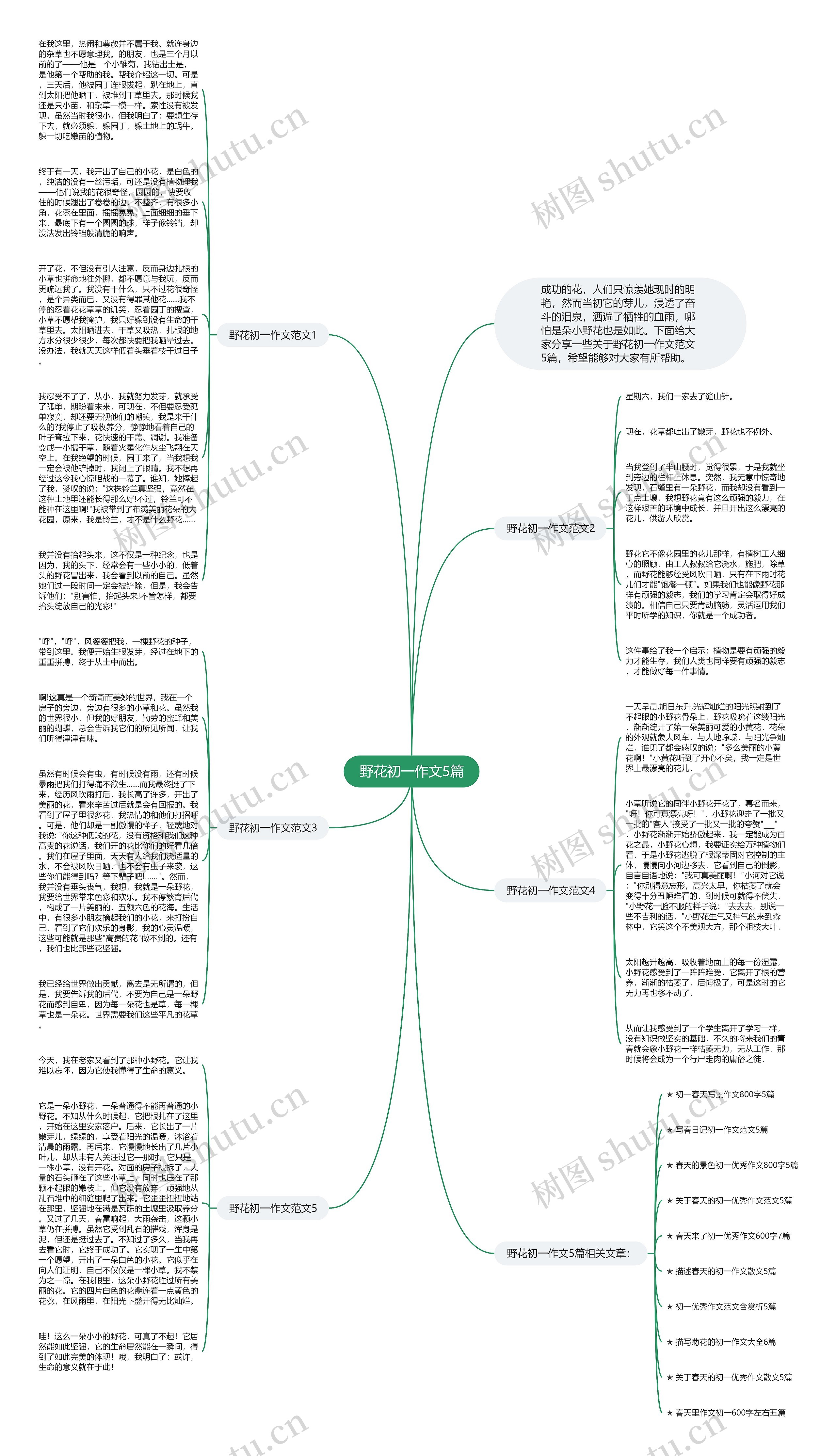 野花初一作文5篇思维导图