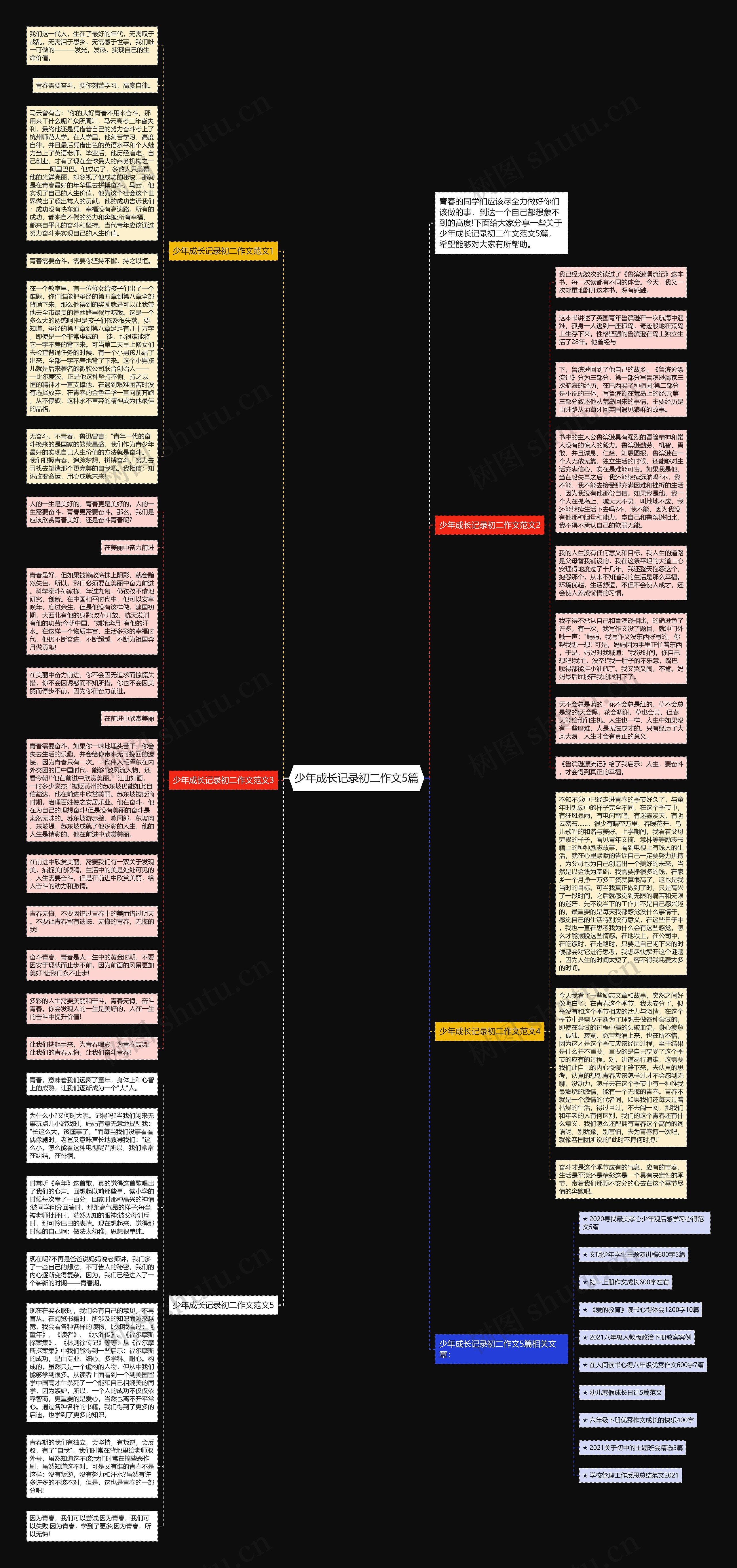 少年成长记录初二作文5篇思维导图