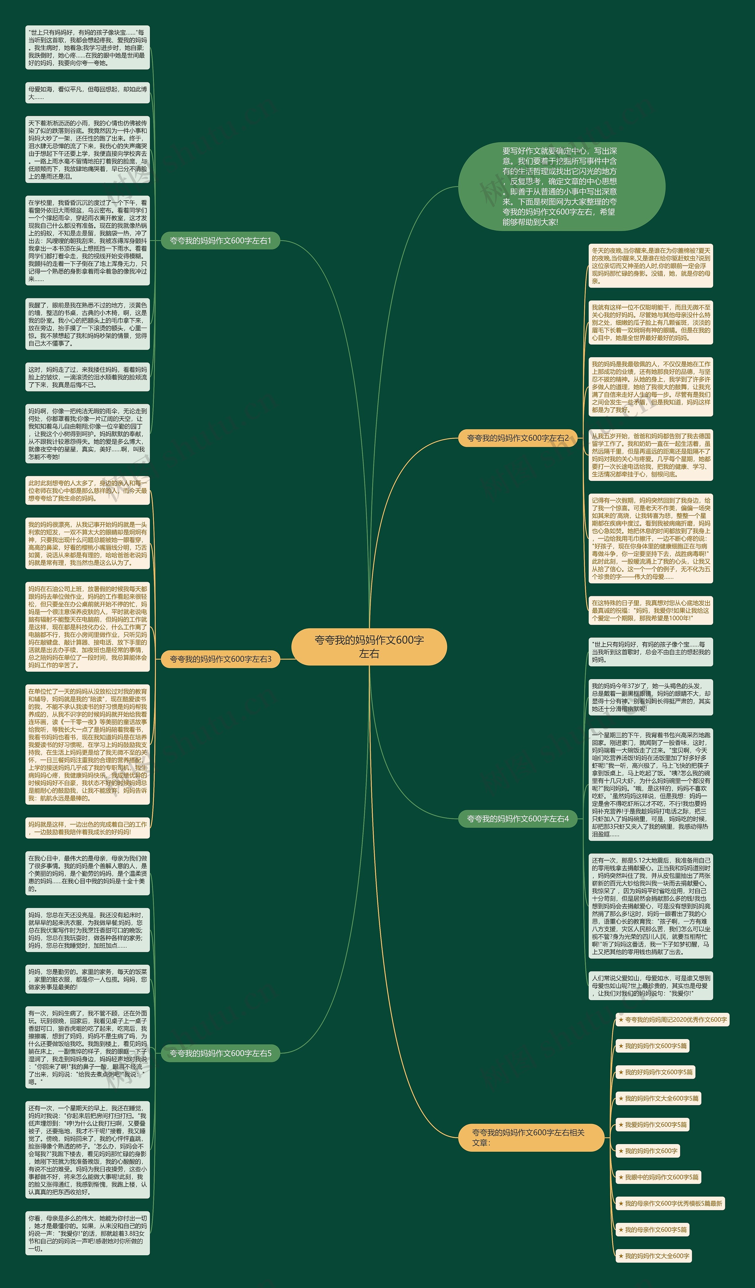 夸夸我的妈妈作文600字左右思维导图