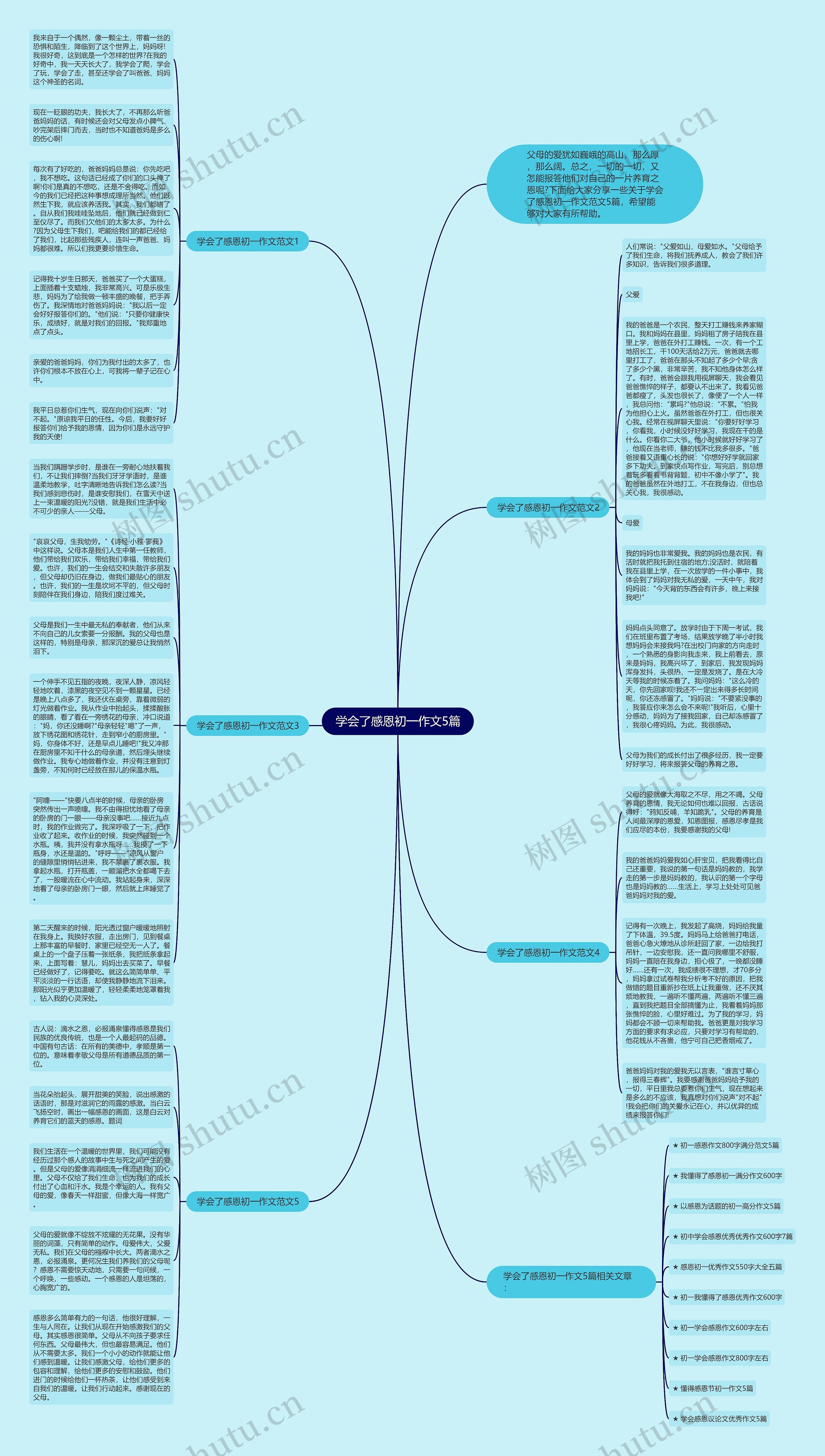 学会了感恩初一作文5篇思维导图