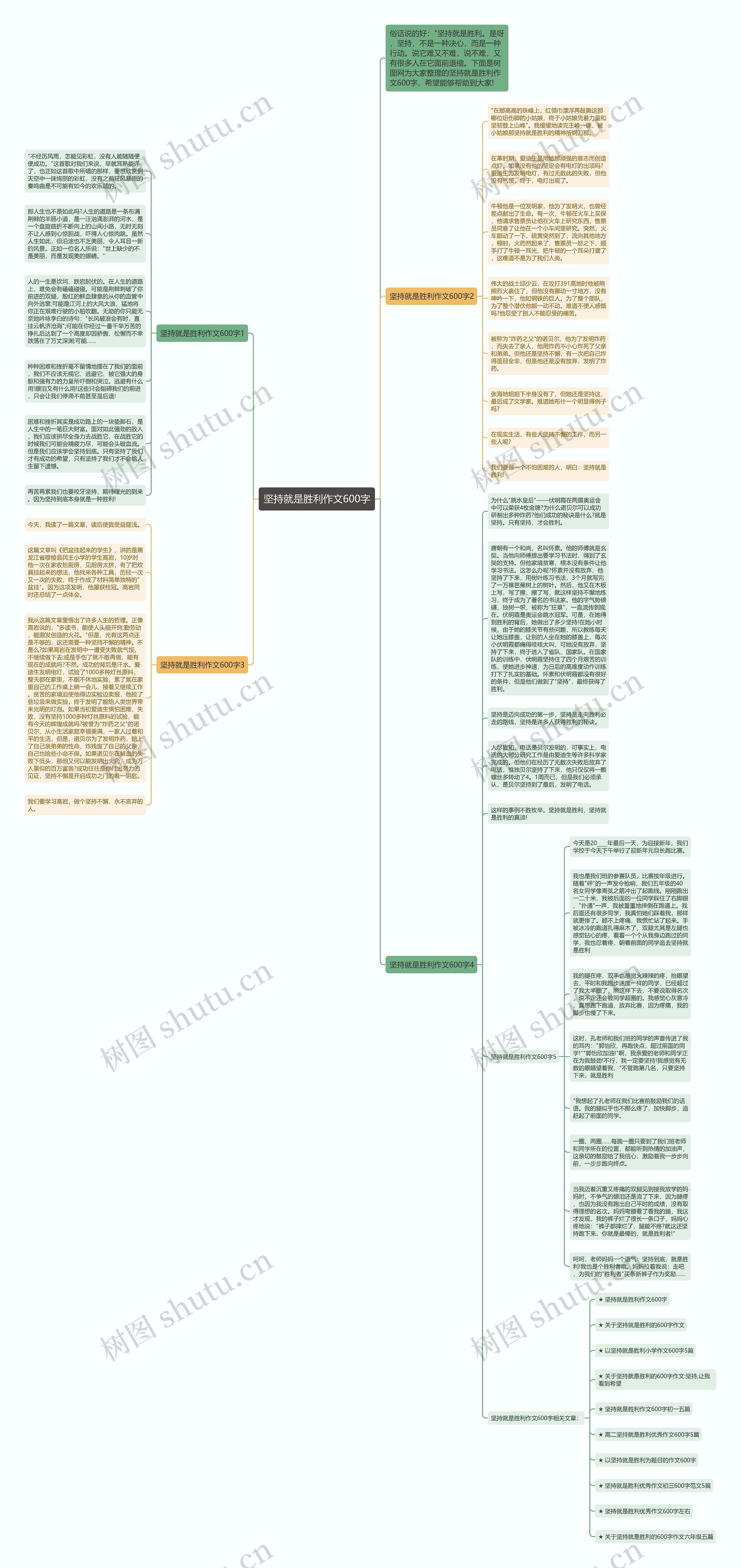 坚持就是胜利作文600字思维导图