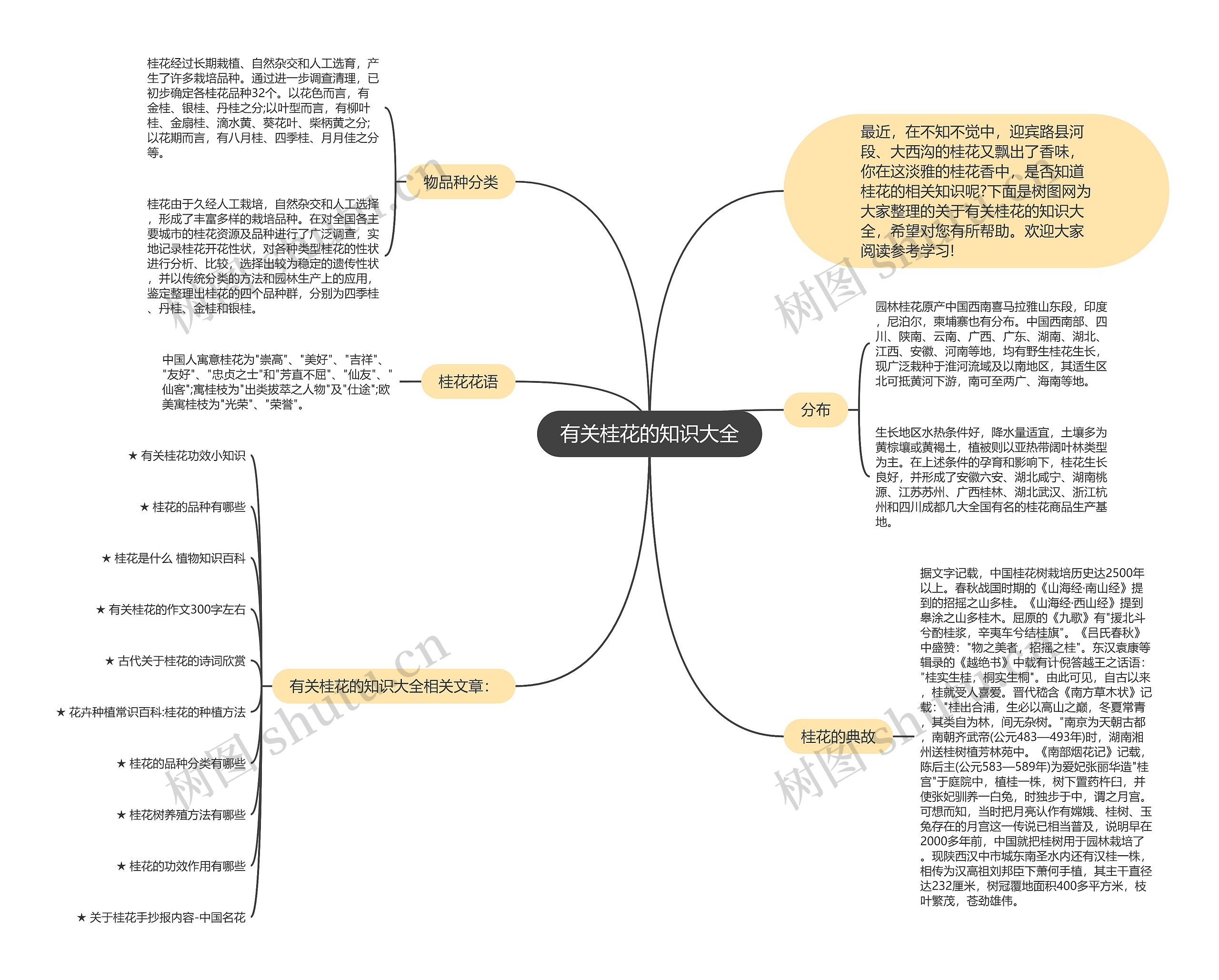 有关桂花的知识大全思维导图