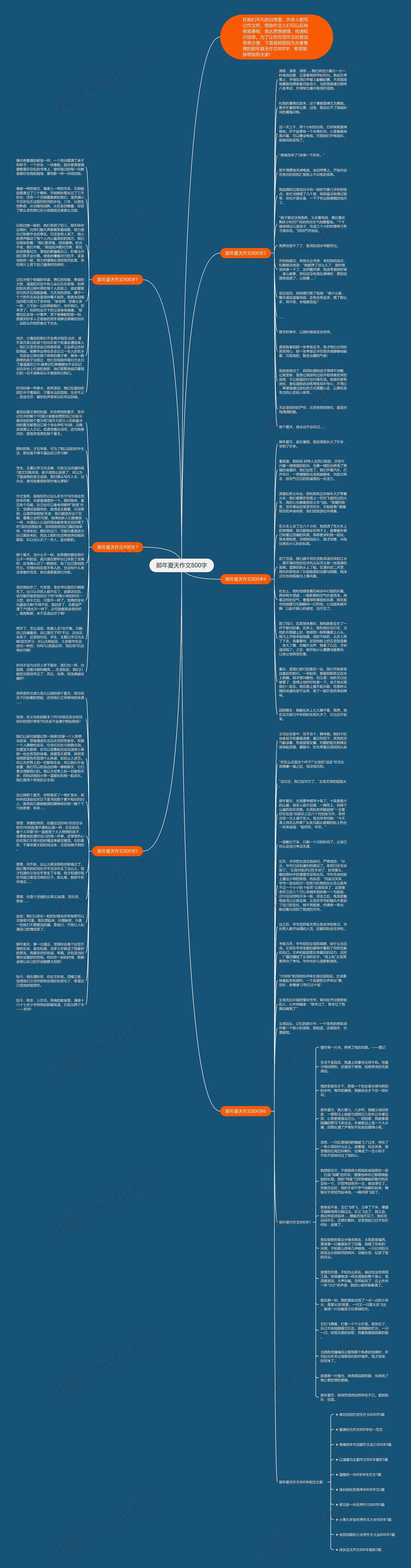 那年夏天作文800字思维导图