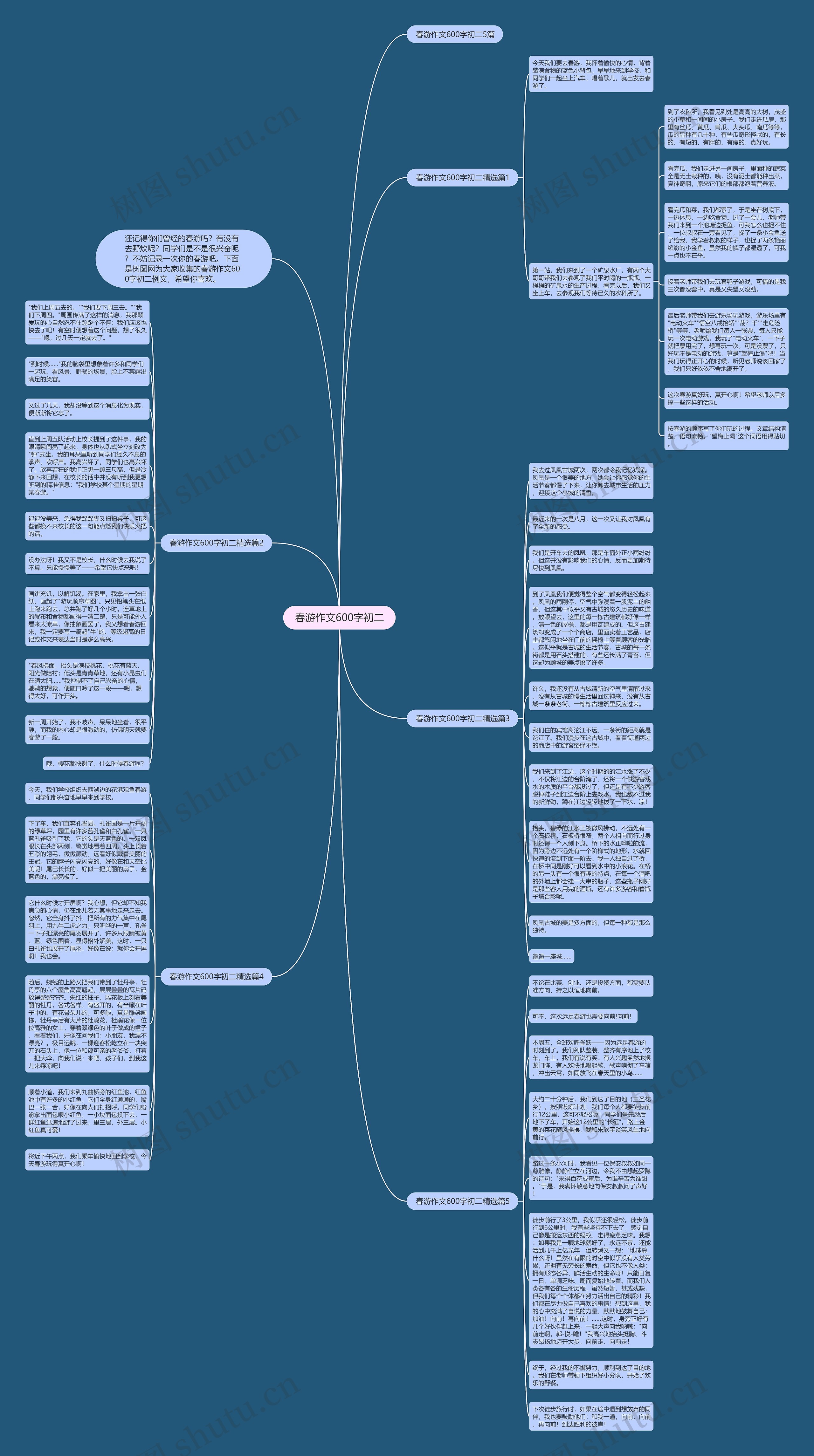 春游作文600字初二思维导图