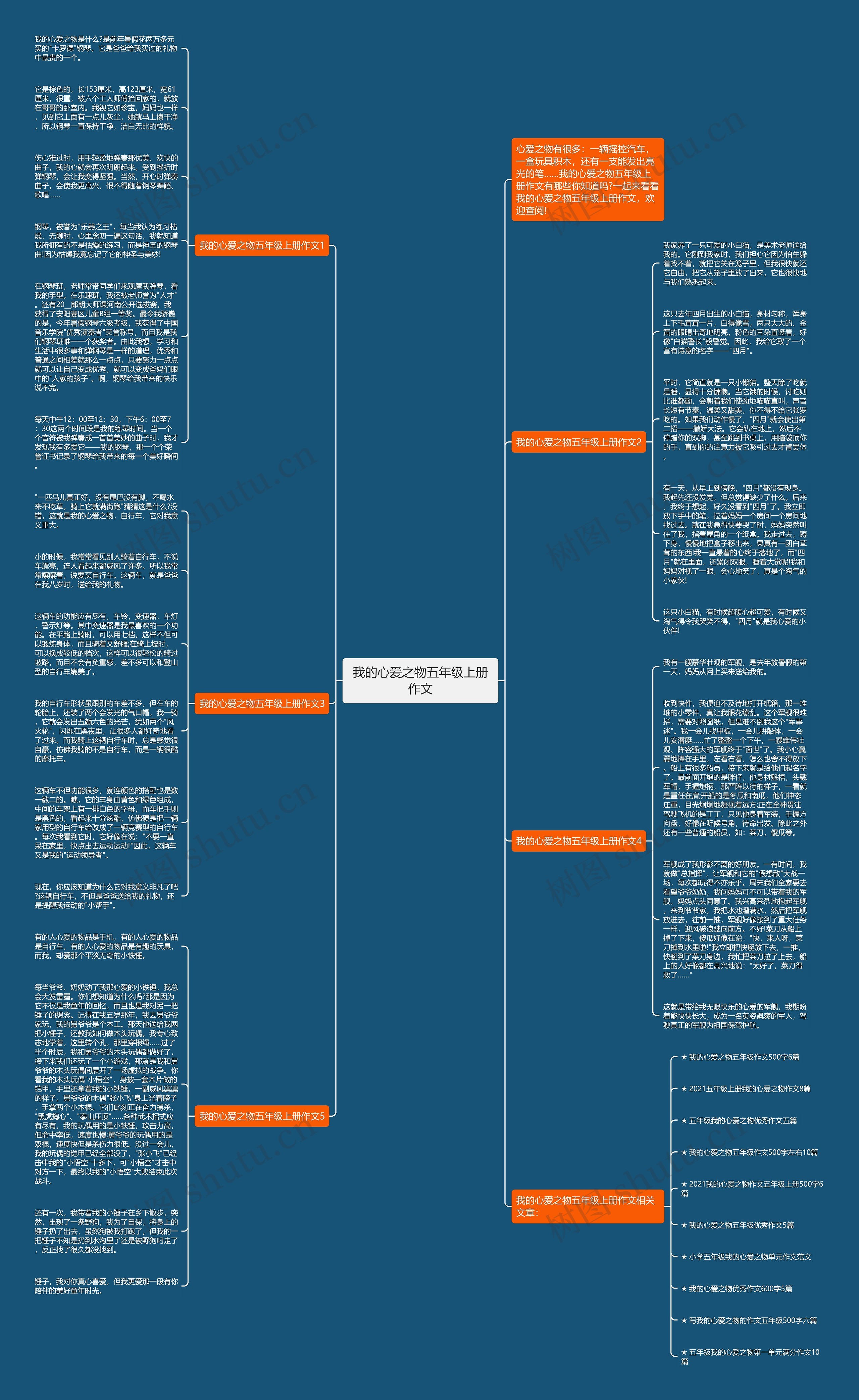 我的心爱之物五年级上册作文思维导图