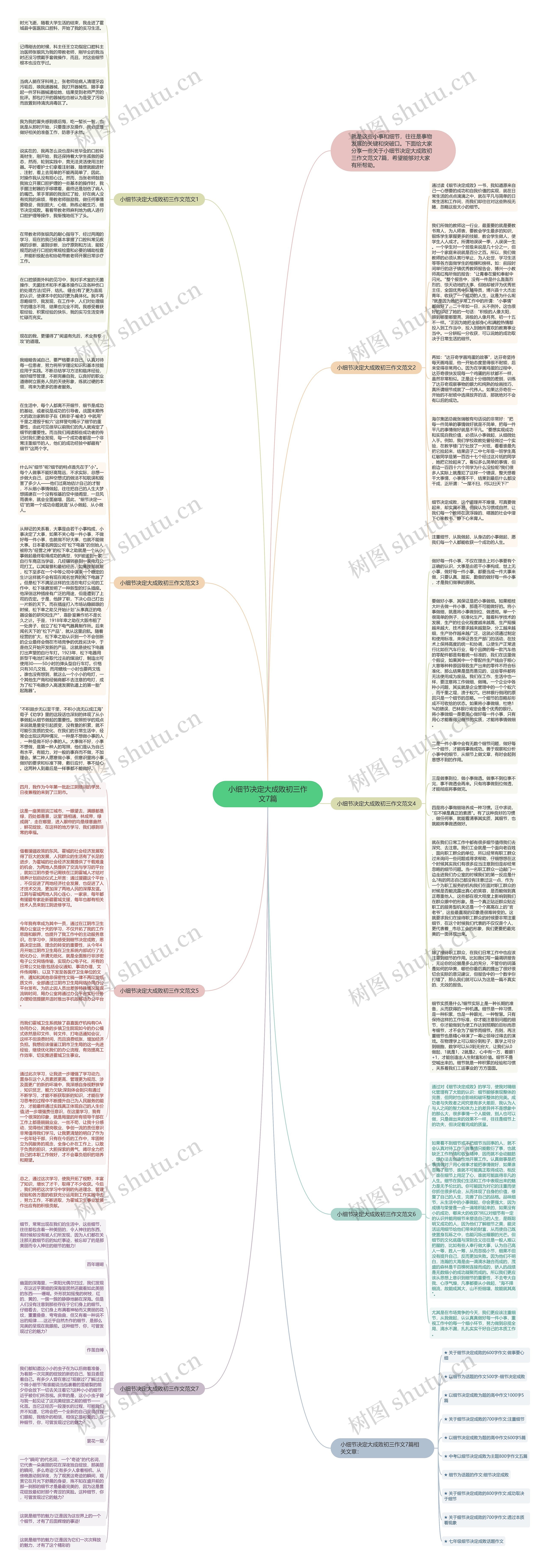 小细节决定大成败初三作文7篇思维导图