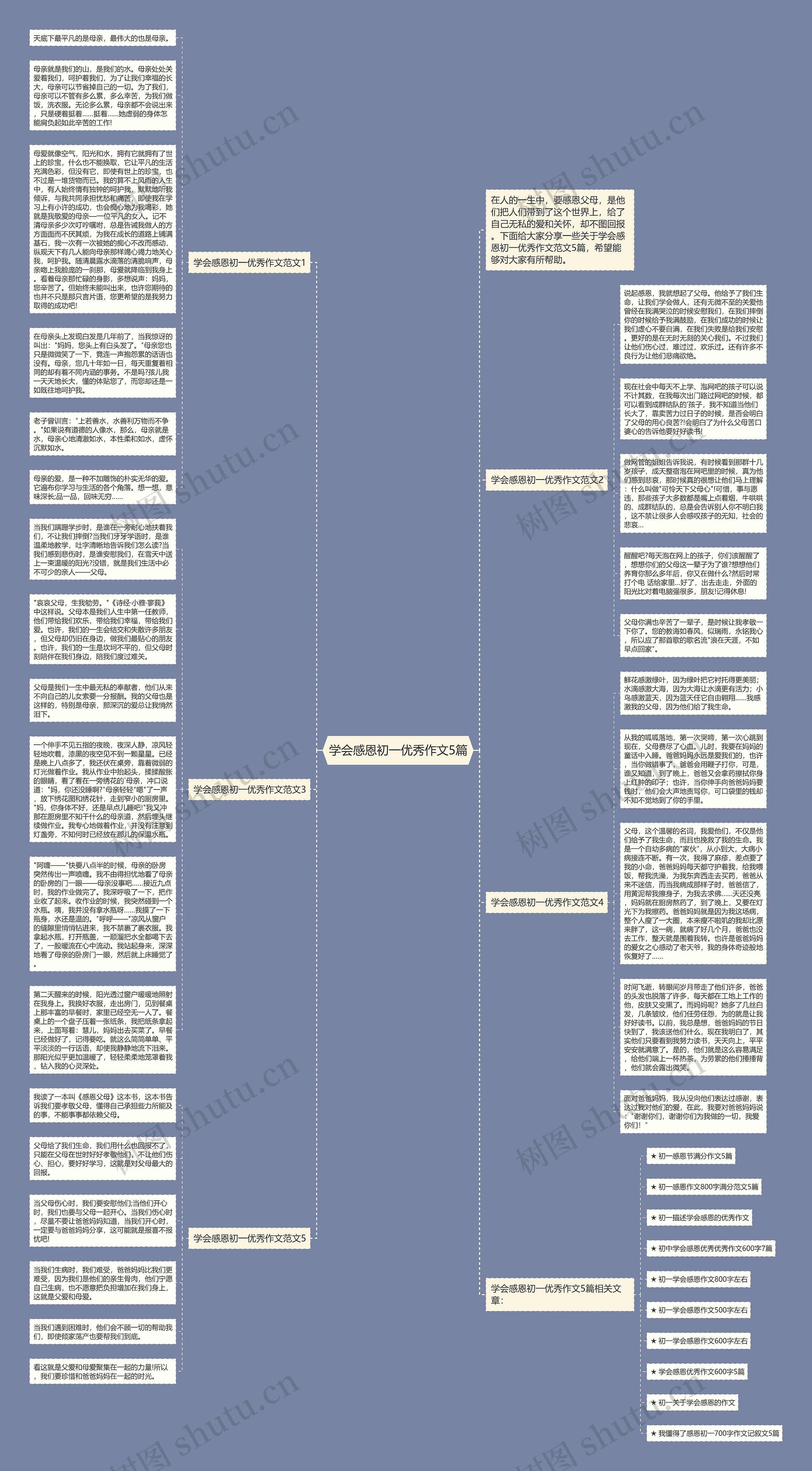 学会感恩初一优秀作文5篇思维导图