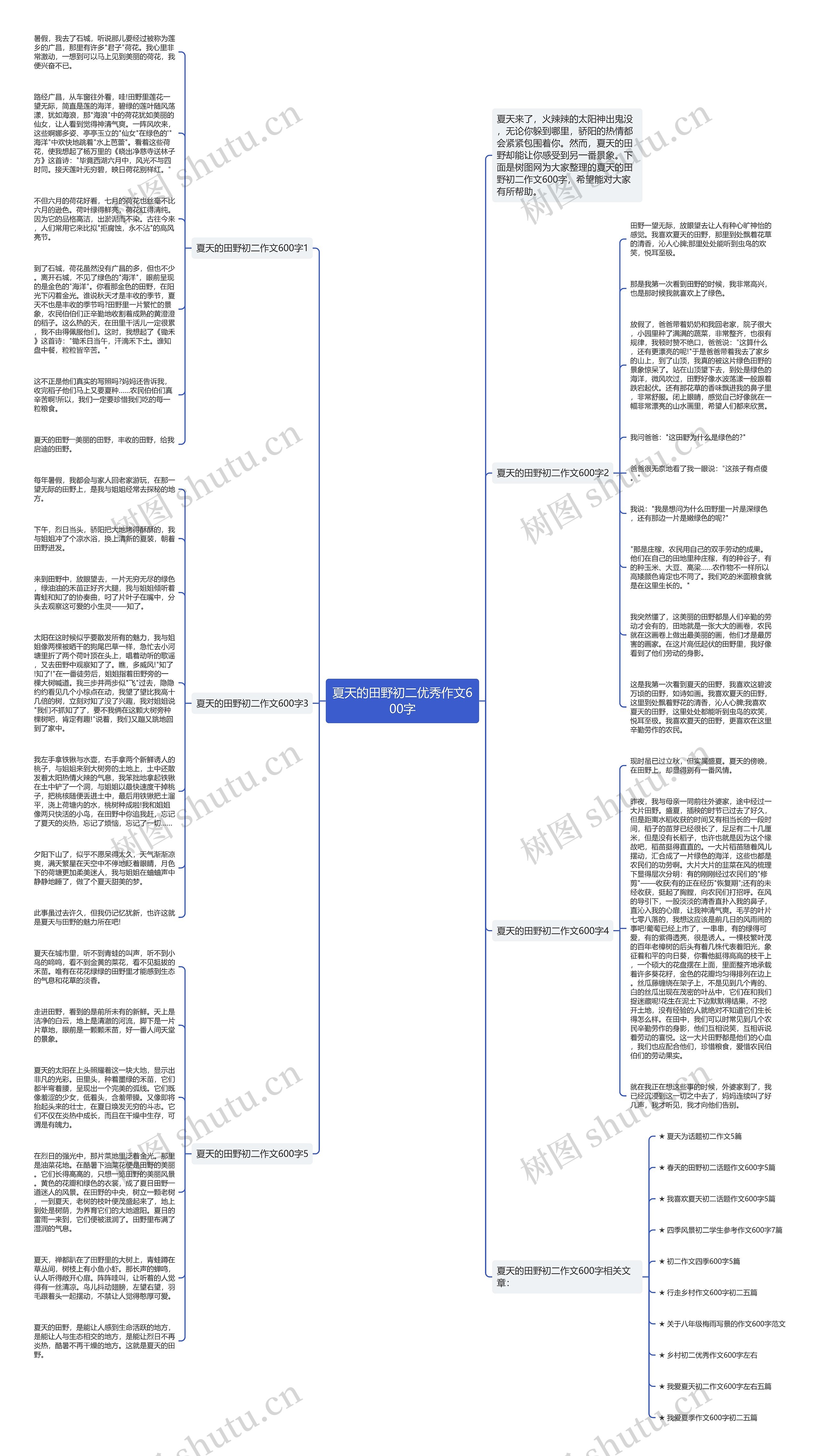夏天的田野初二优秀作文600字思维导图