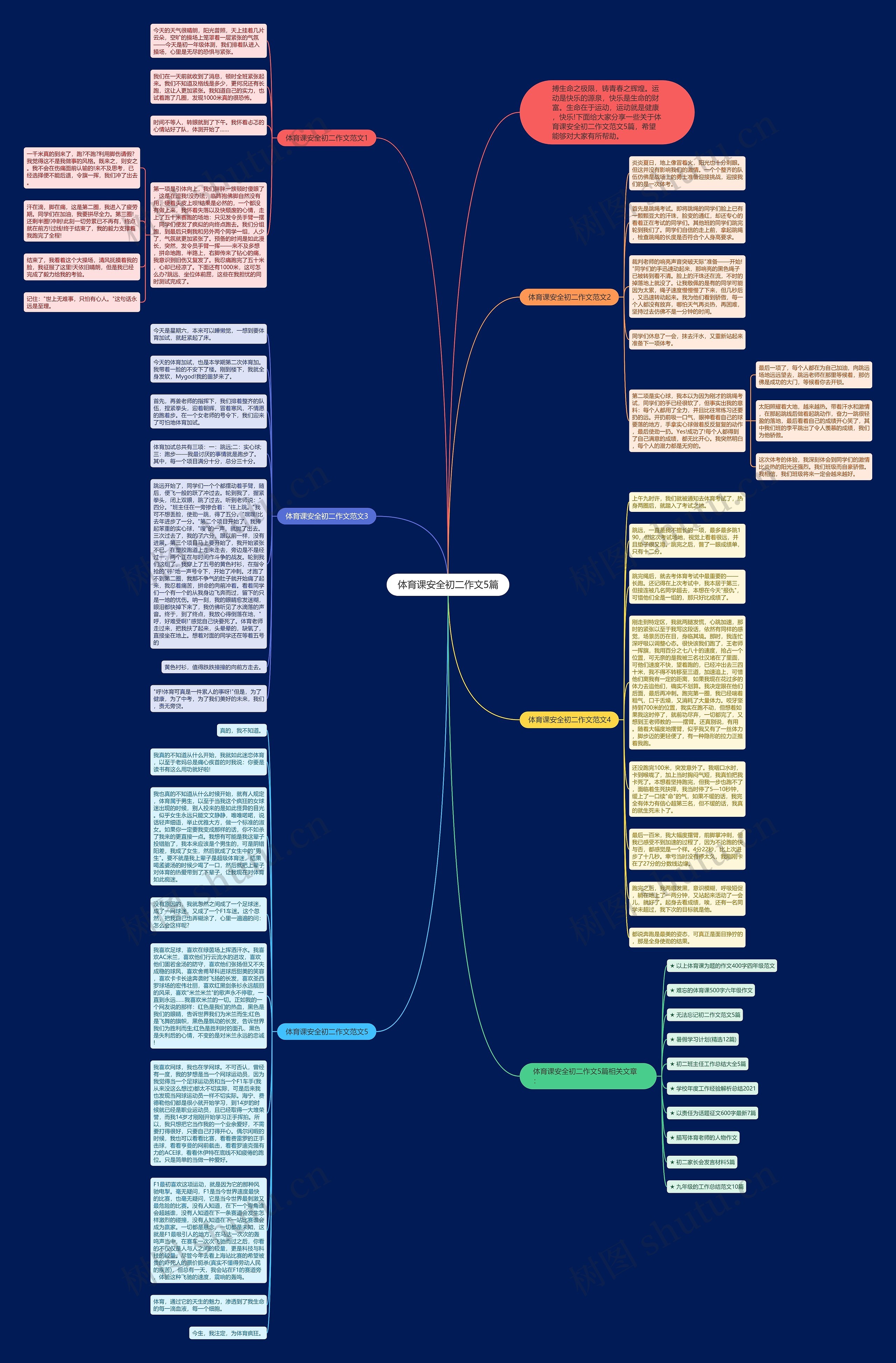 体育课安全初二作文5篇思维导图