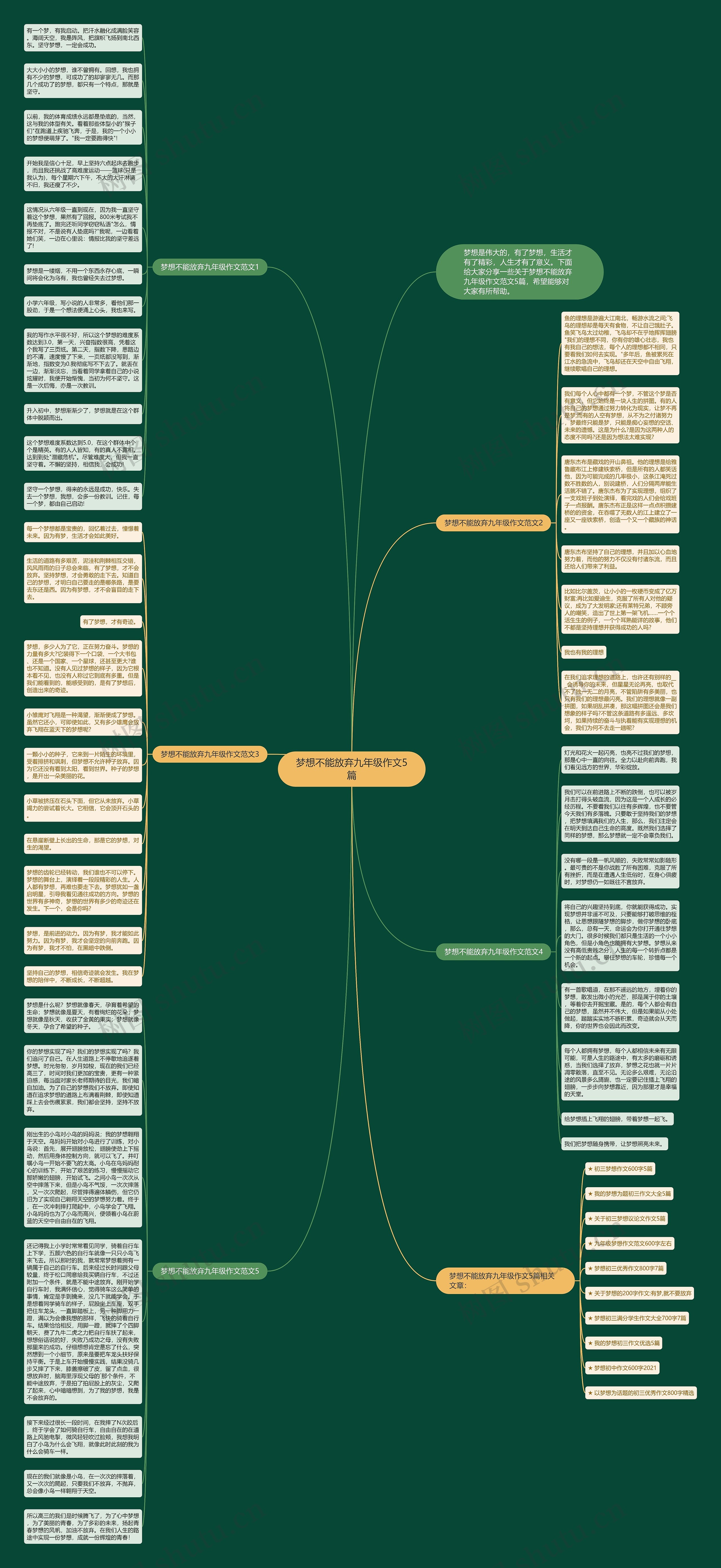 梦想不能放弃九年级作文5篇思维导图
