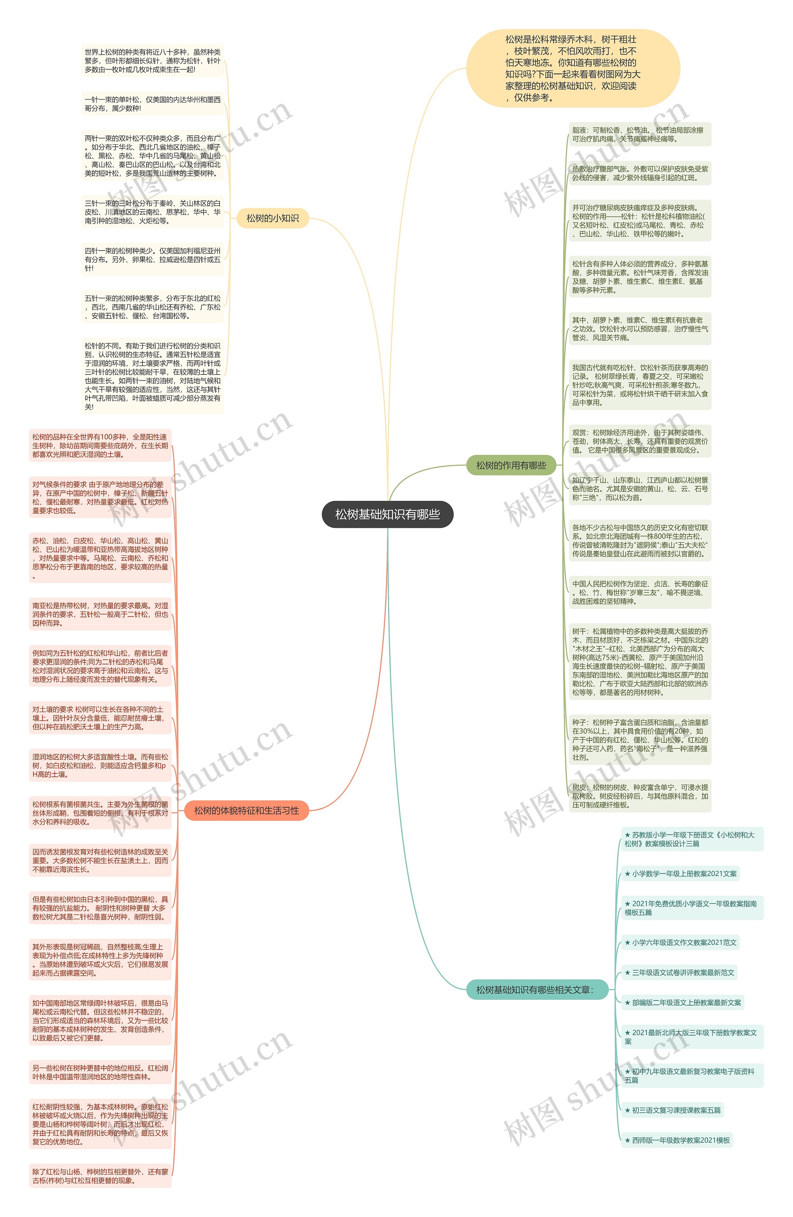 松树基础知识有哪些思维导图