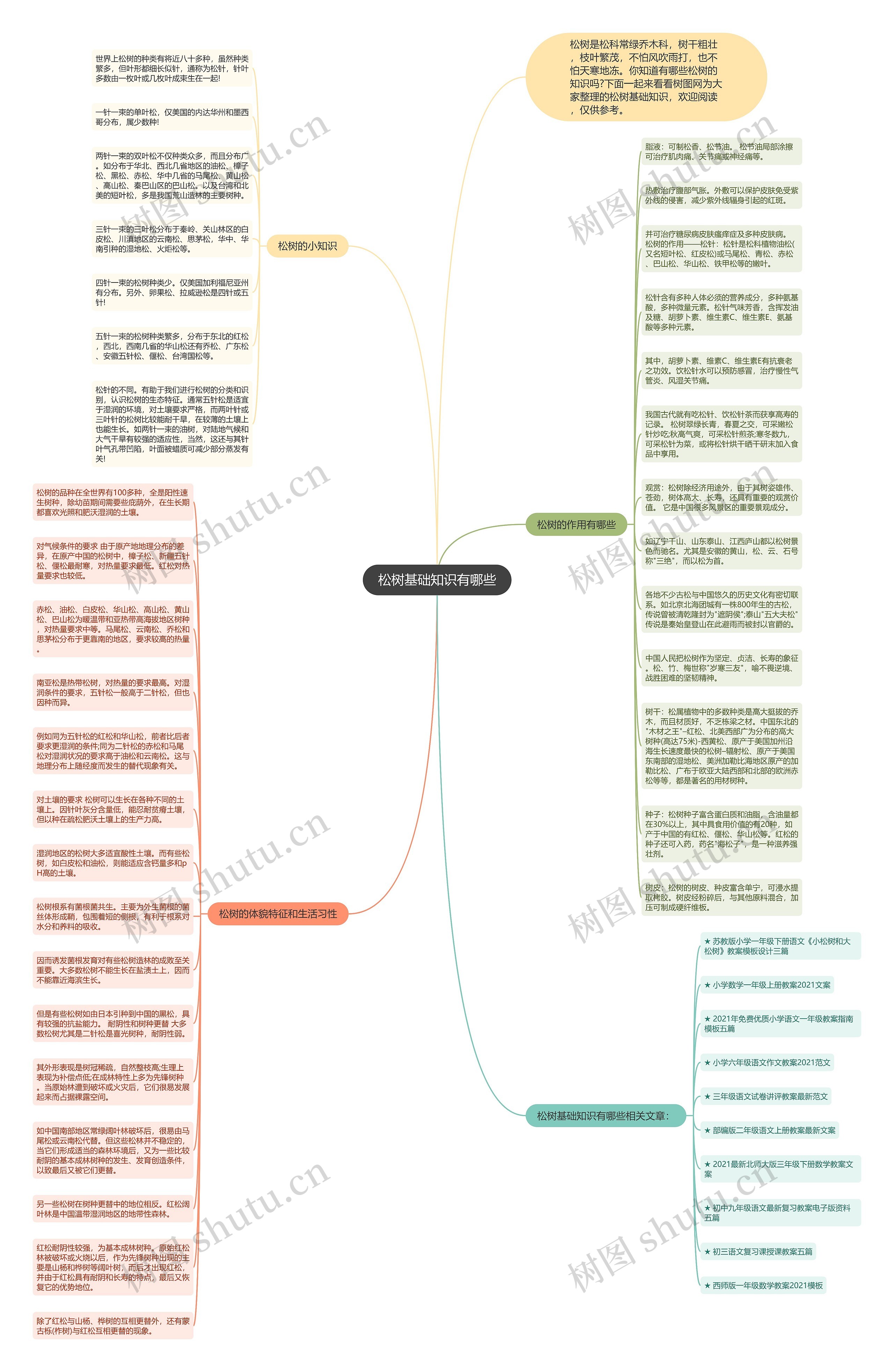 松树基础知识有哪些思维导图高清图 松树基础知识有哪些思维导图