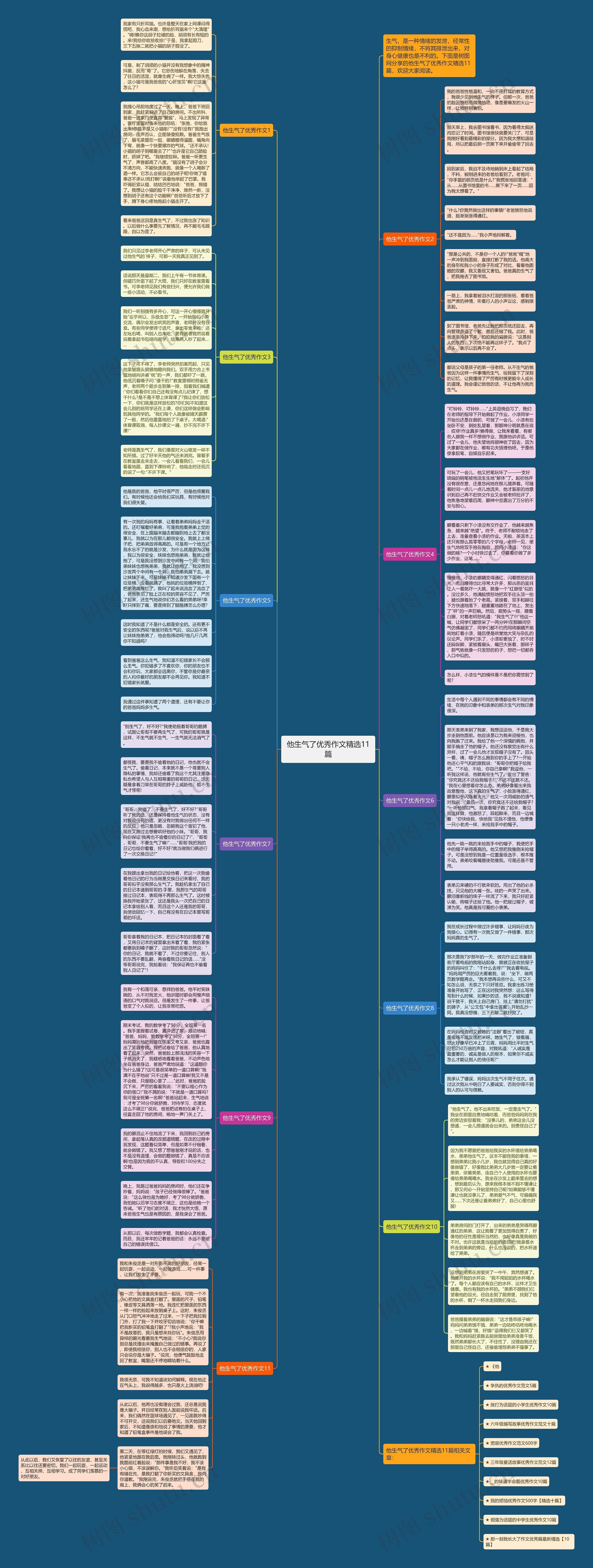 他生气了优秀作文精选11篇思维导图