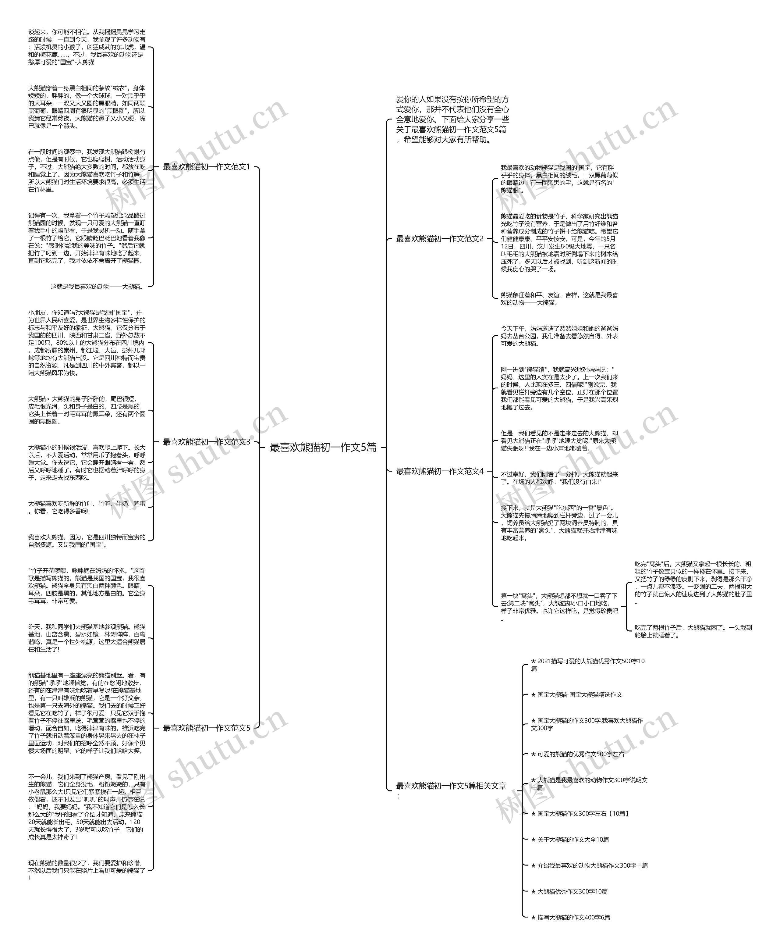 最喜欢熊猫初一作文5篇思维导图