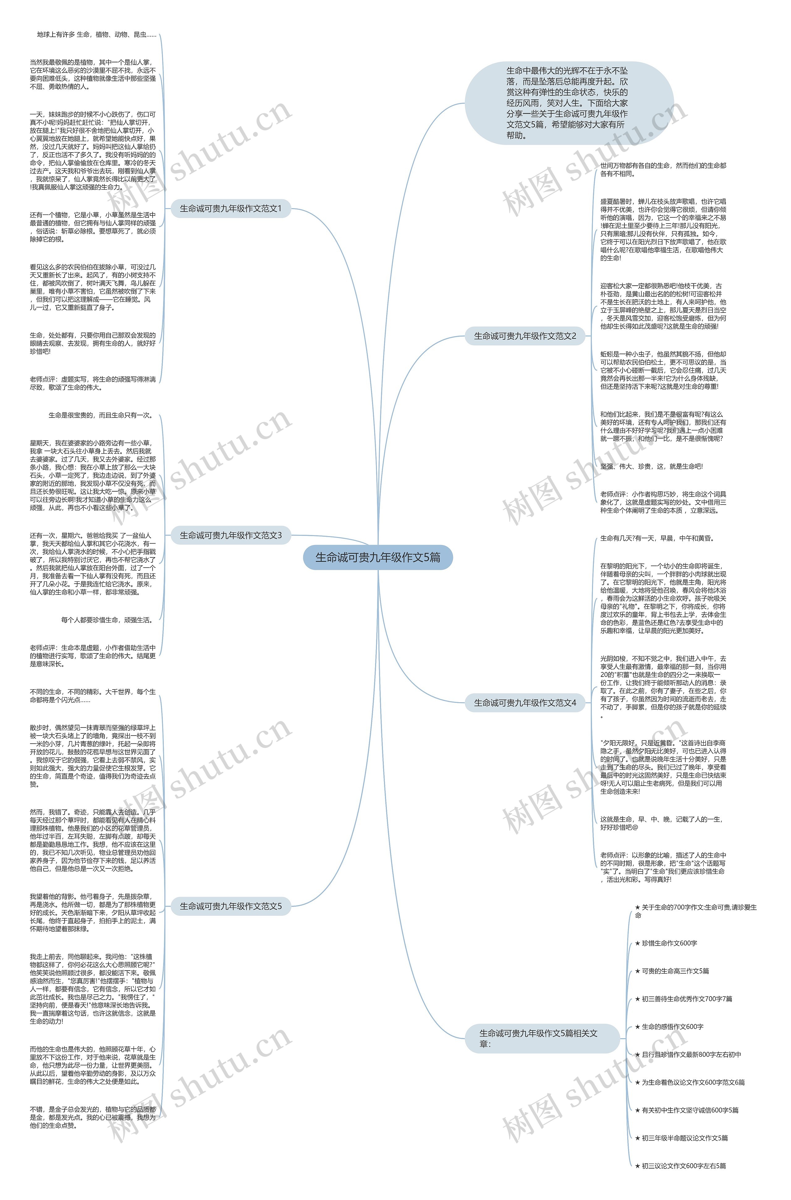 生命诚可贵九年级作文5篇思维导图