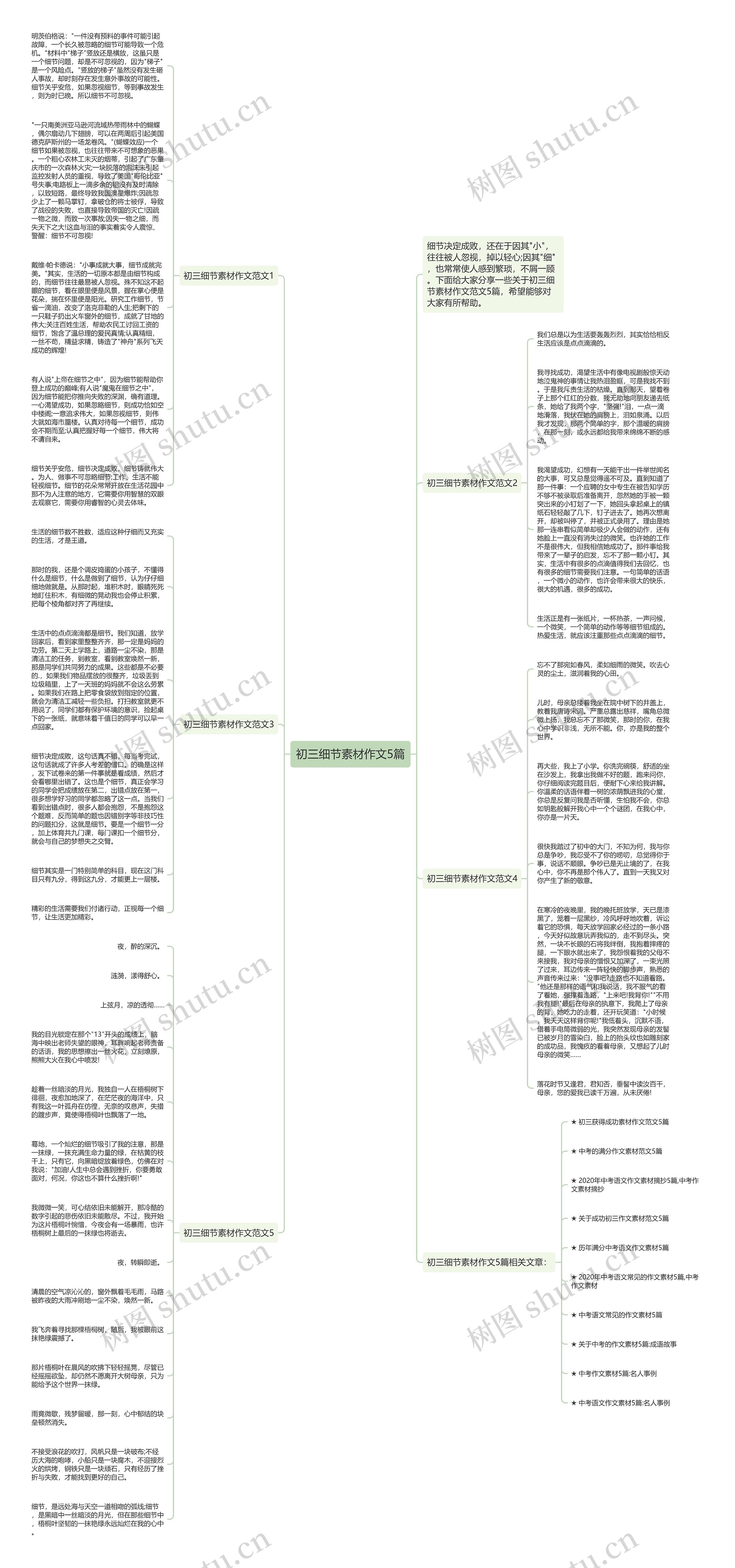初三细节素材作文5篇思维导图