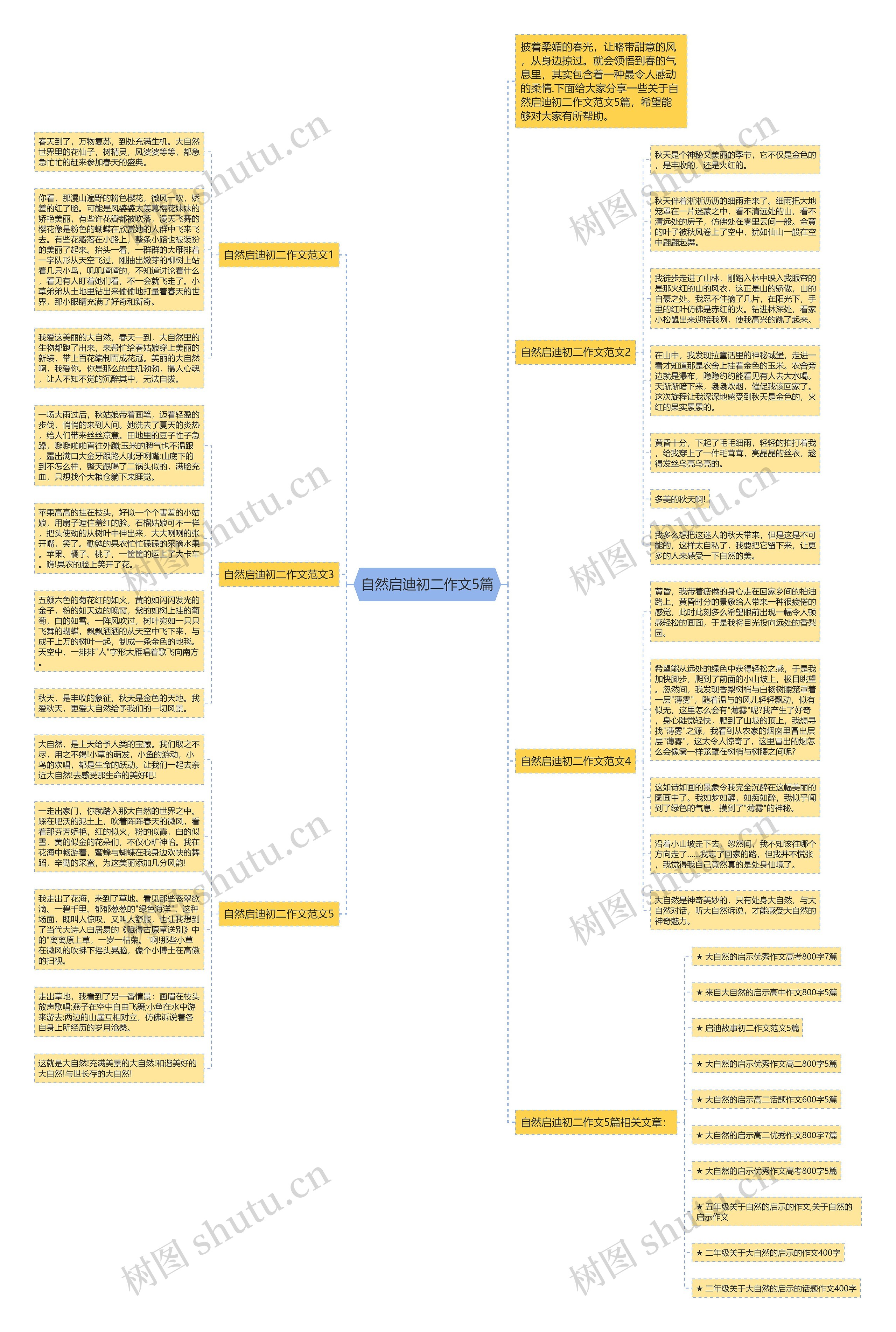 自然启迪初二作文5篇思维导图