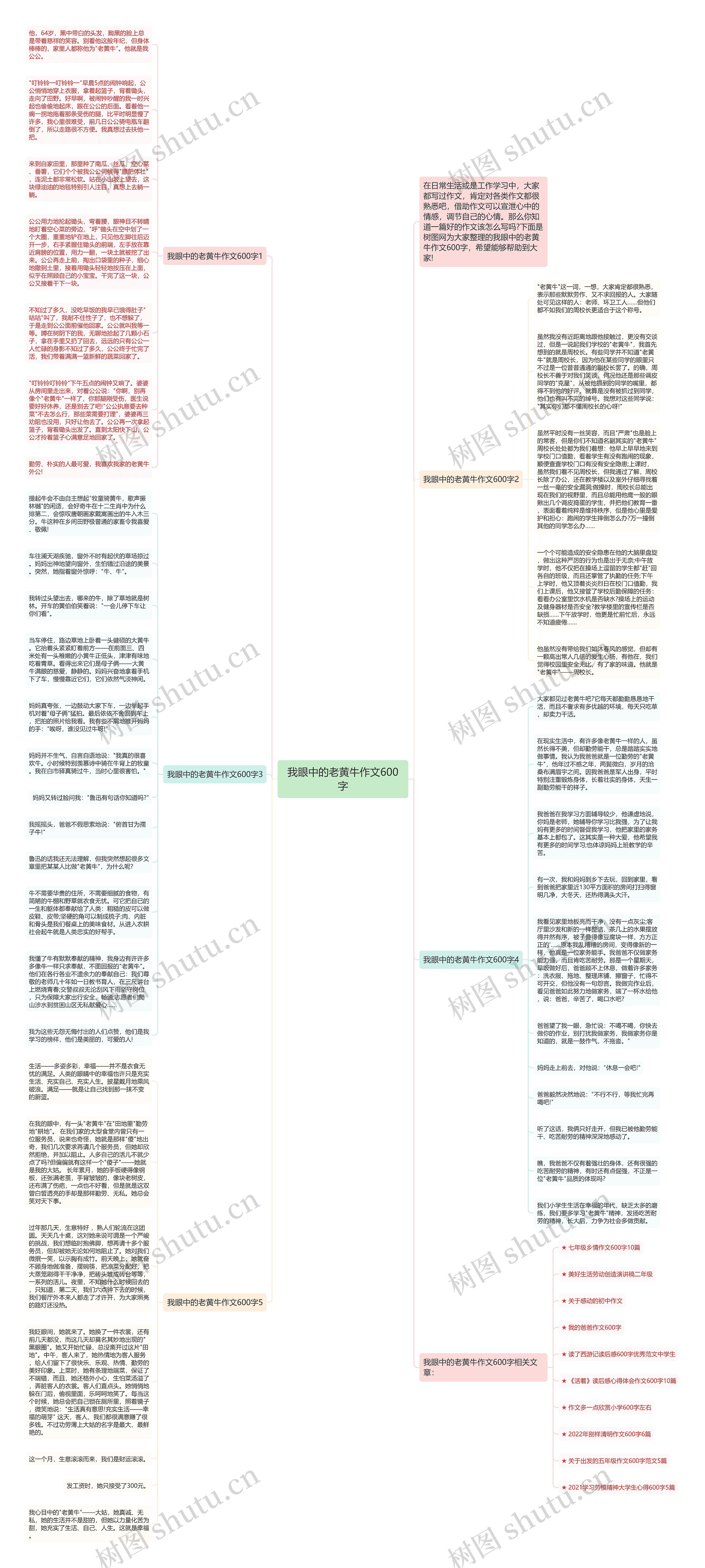 我眼中的老黄牛作文600字思维导图