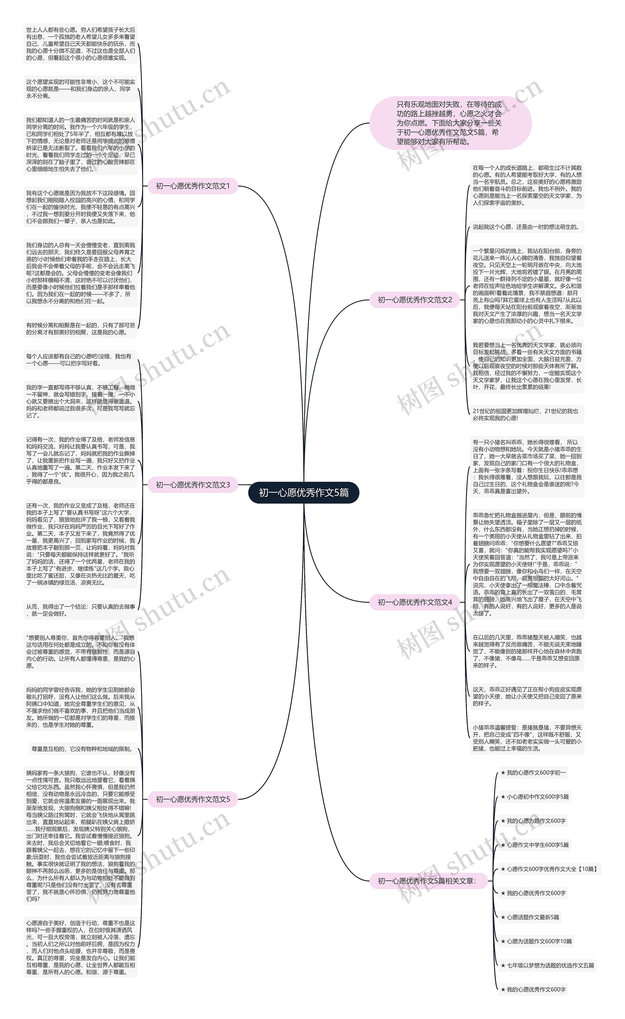 初一心愿优秀作文5篇思维导图