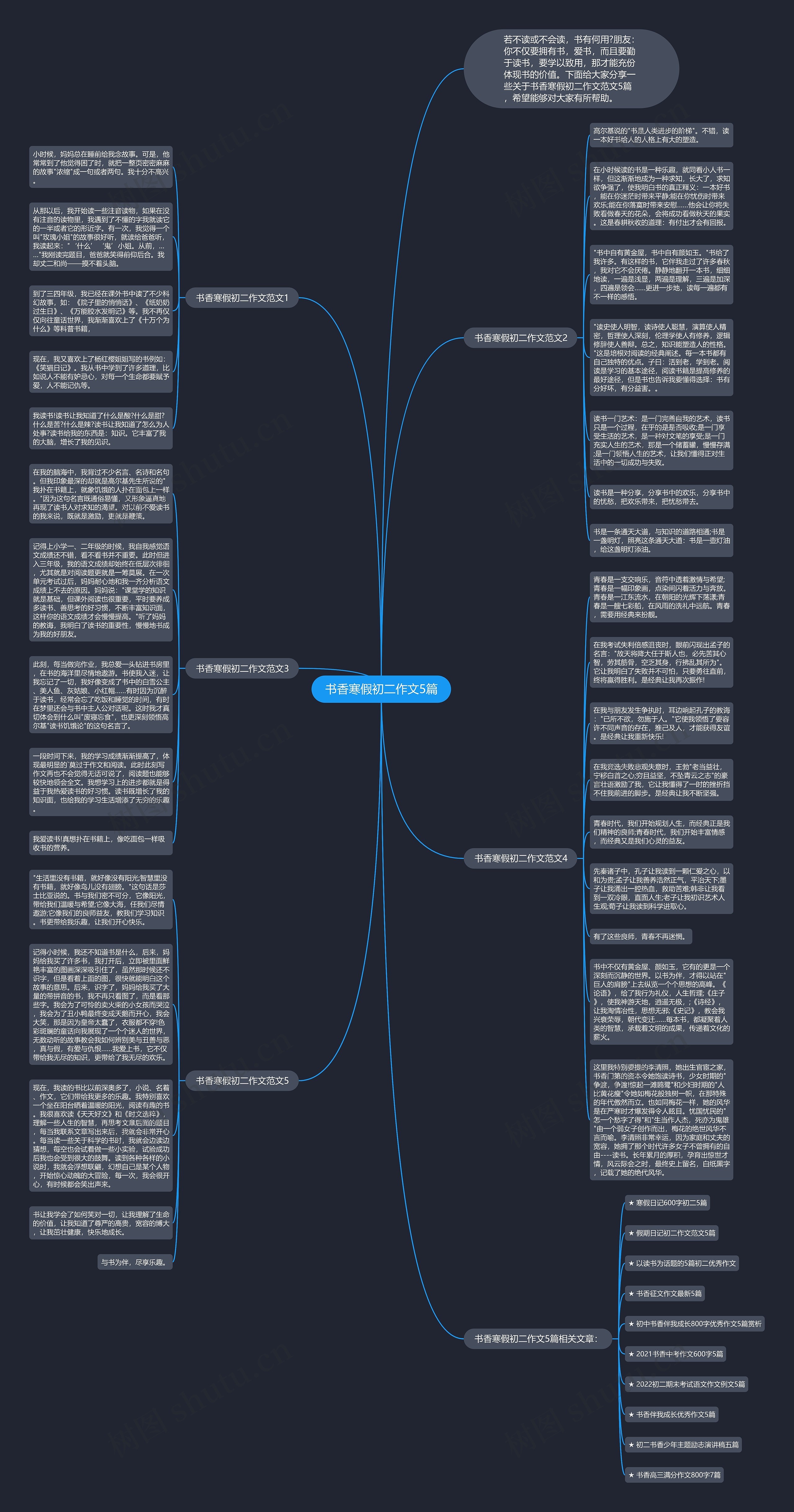 书香寒假初二作文5篇思维导图