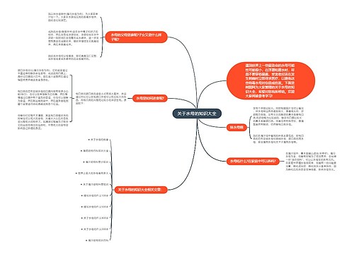 关于水母的知识大全