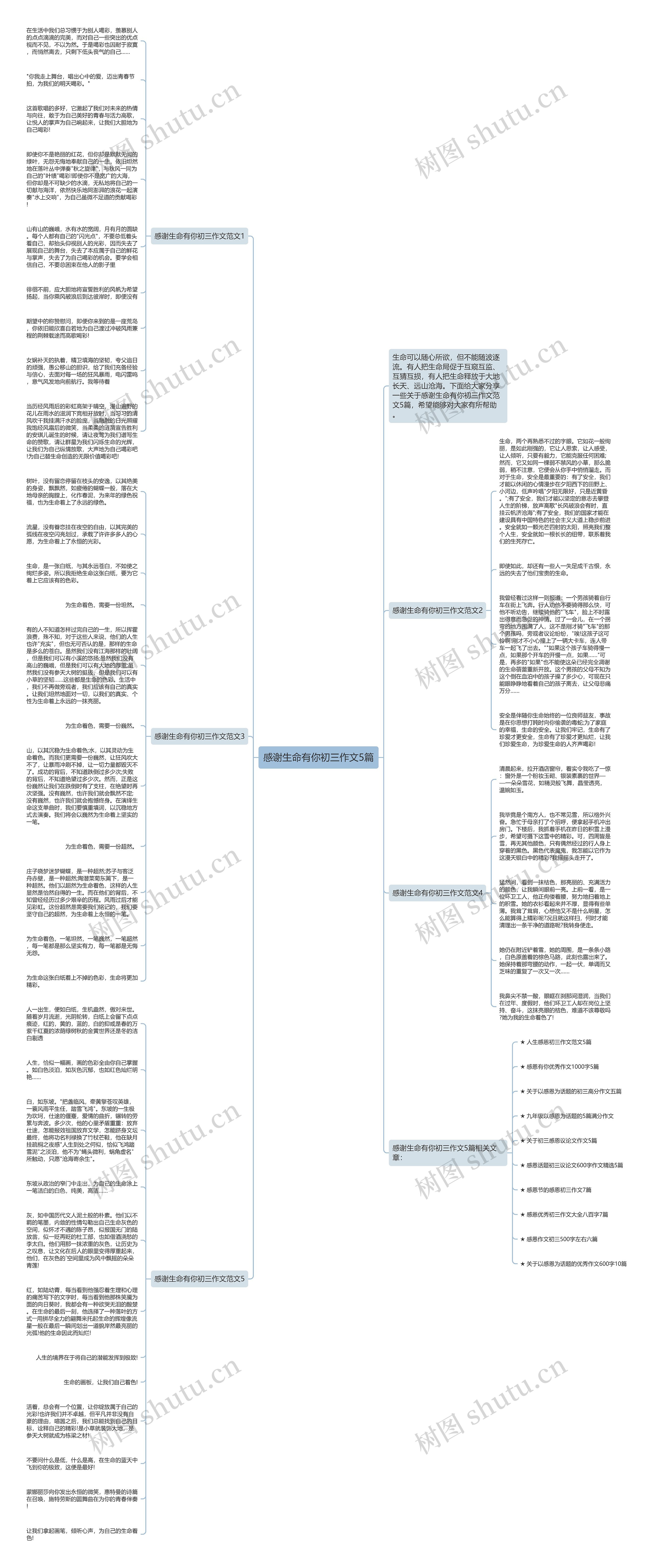 感谢生命有你初三作文5篇思维导图
