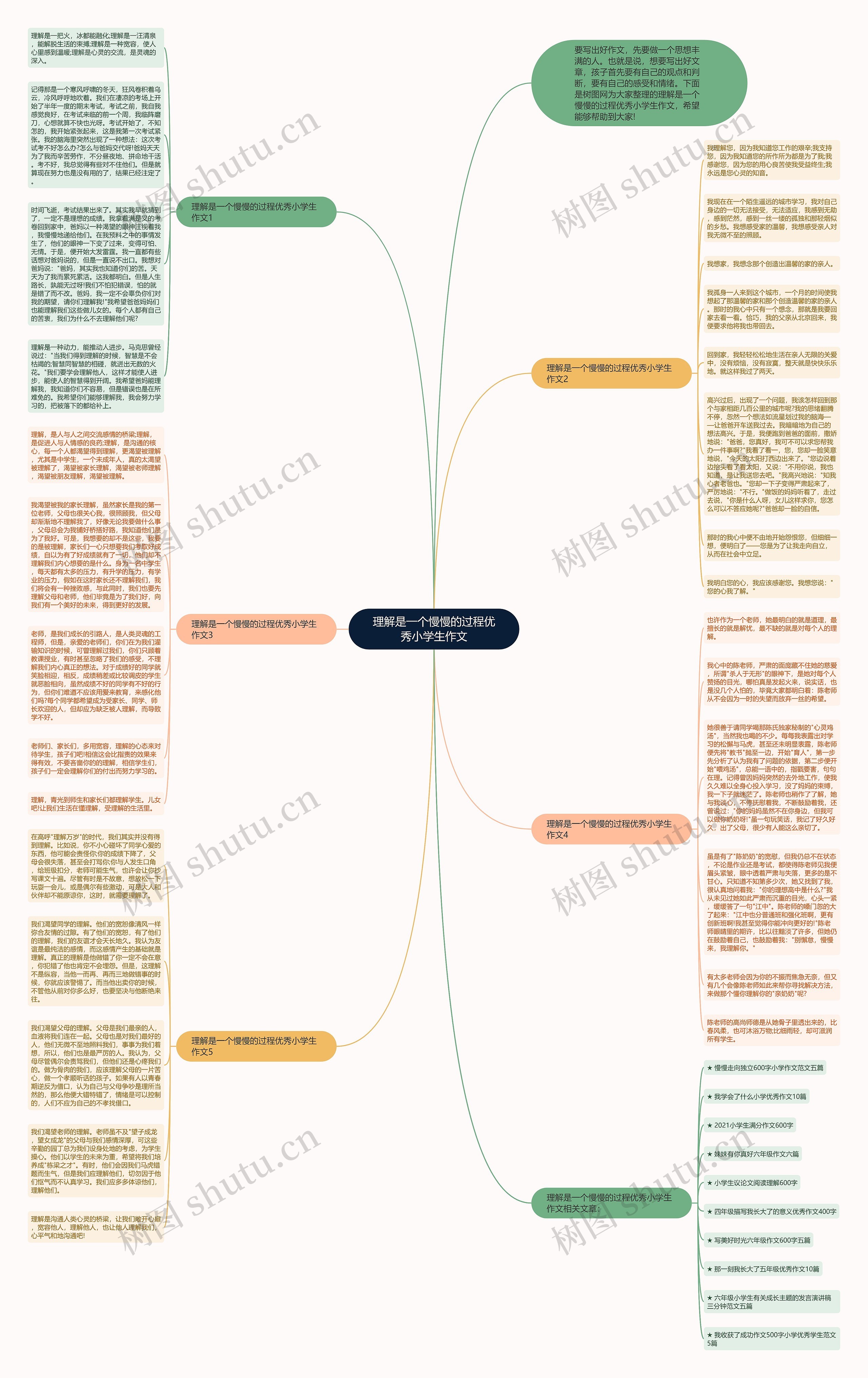 理解是一个慢慢的过程优秀小学生作文思维导图
