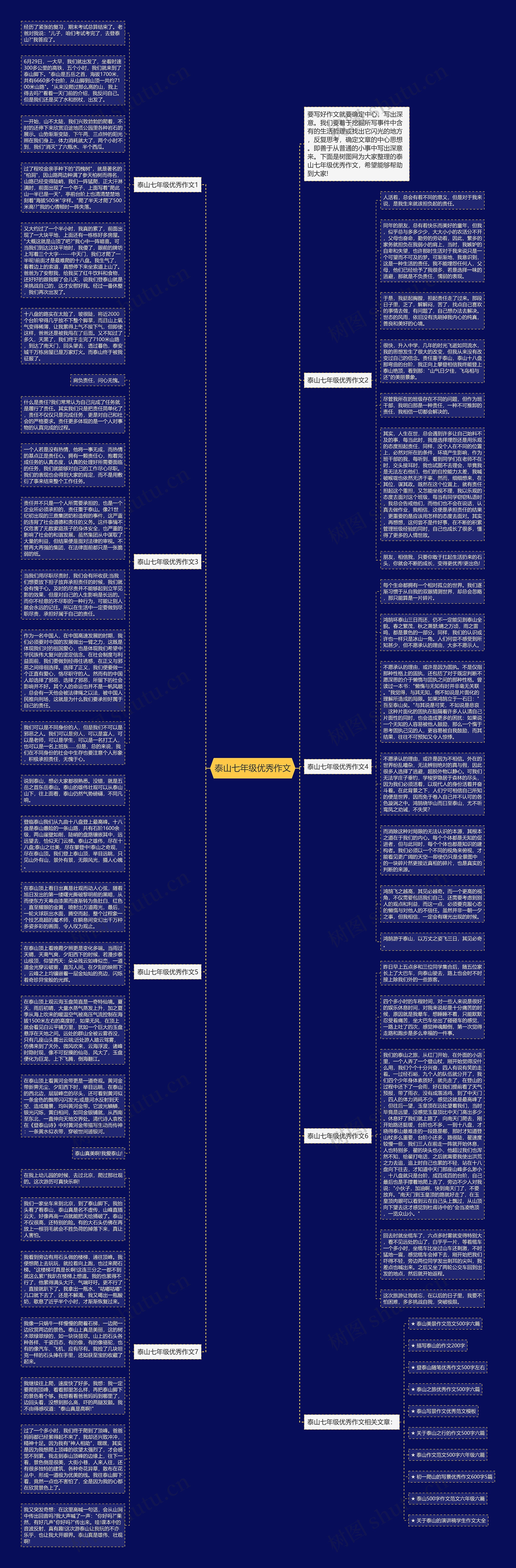 泰山七年级优秀作文思维导图