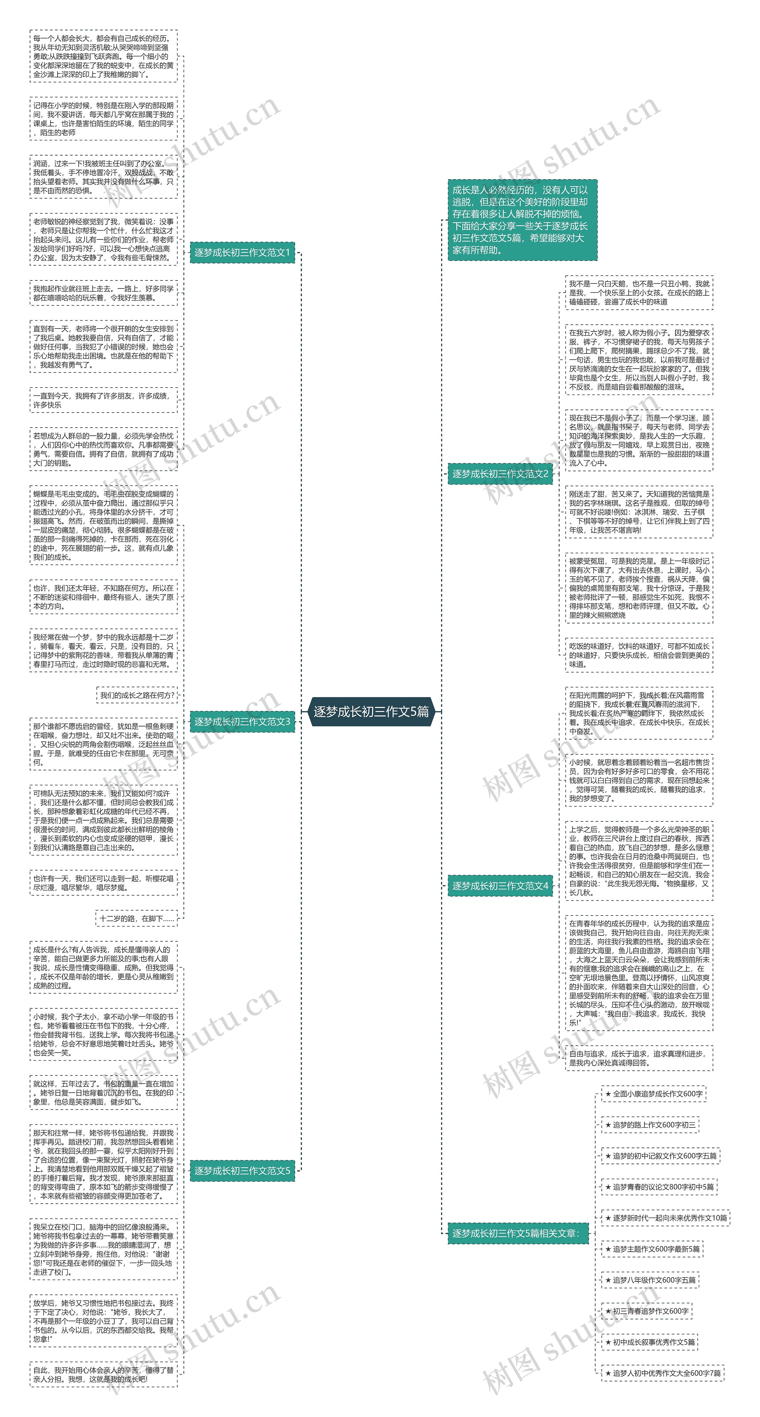 逐梦成长初三作文5篇思维导图