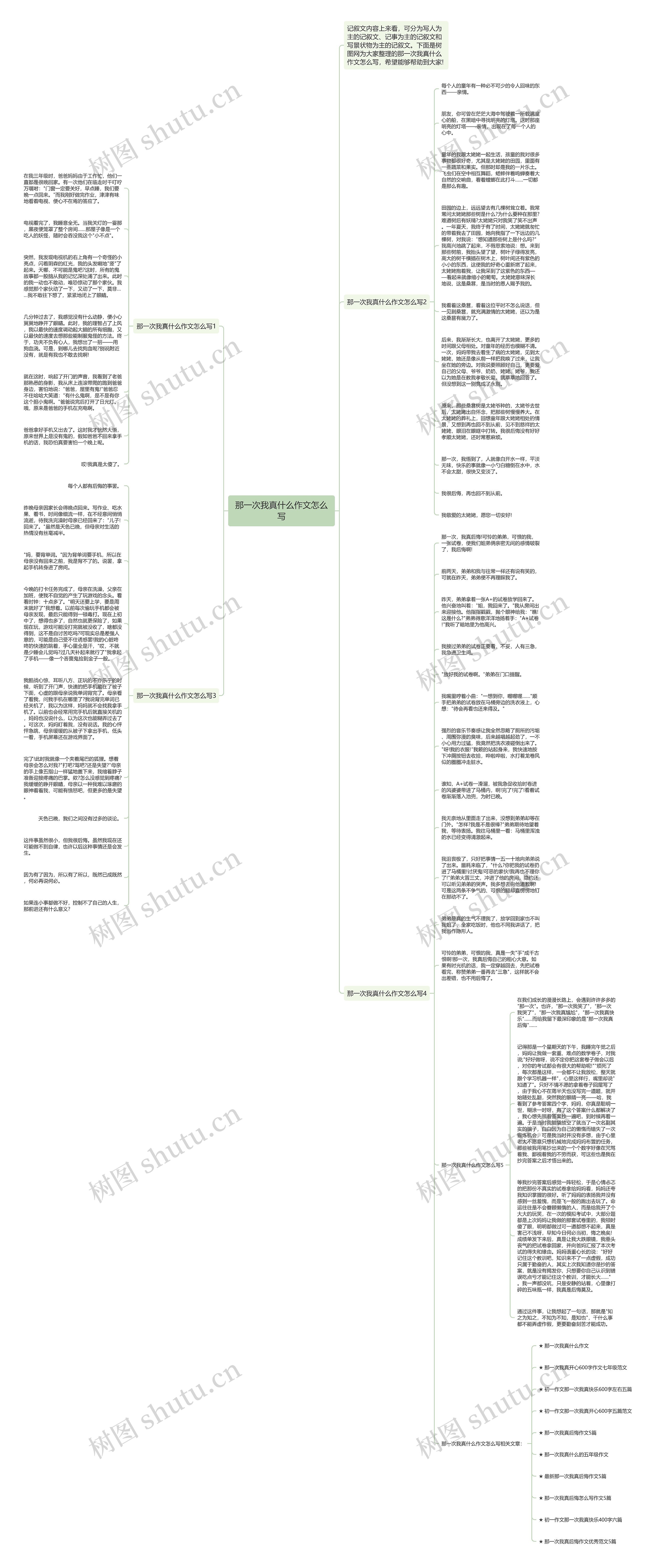 那一次我真什么作文怎么写思维导图