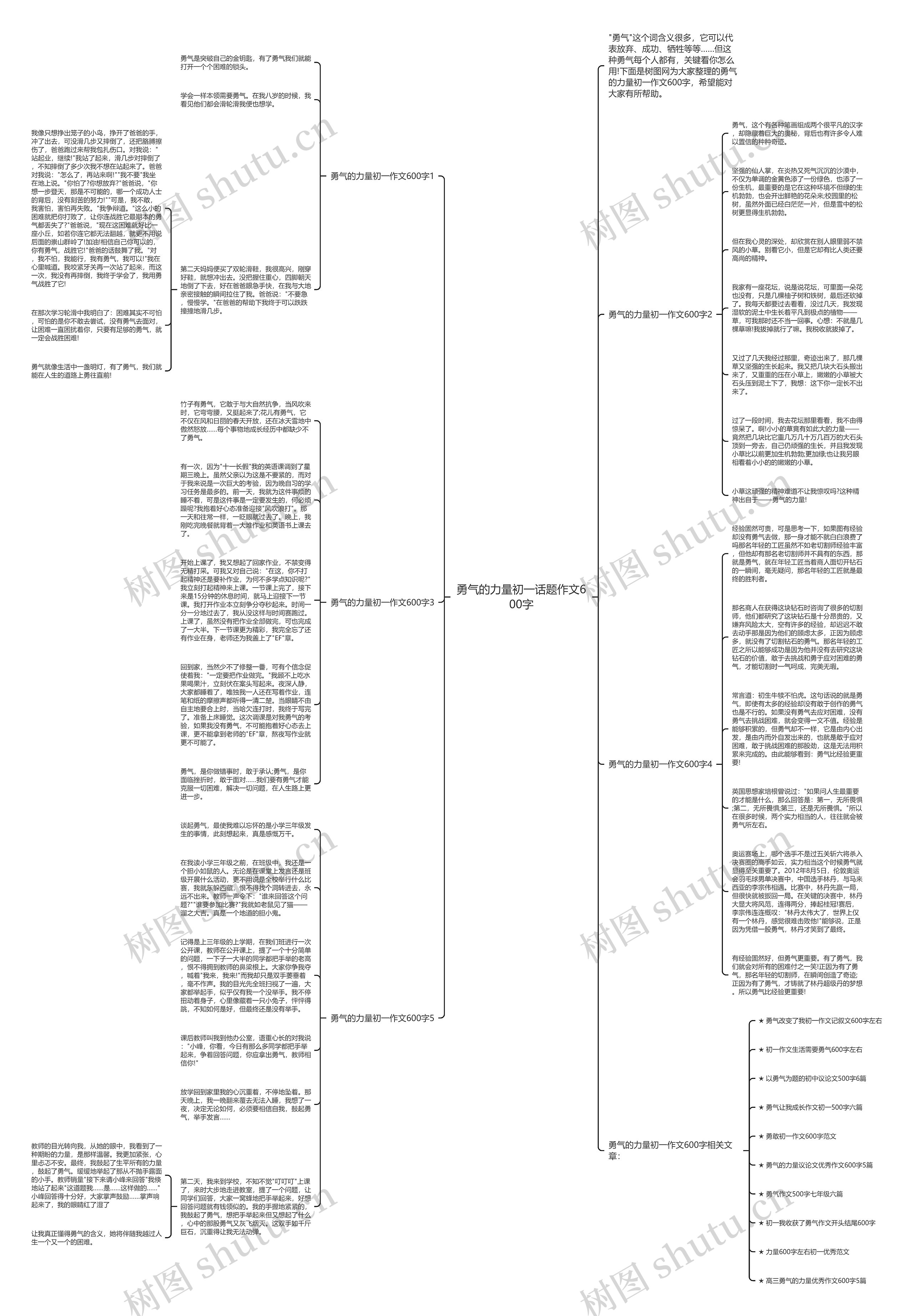 勇气的力量初一话题作文600字思维导图