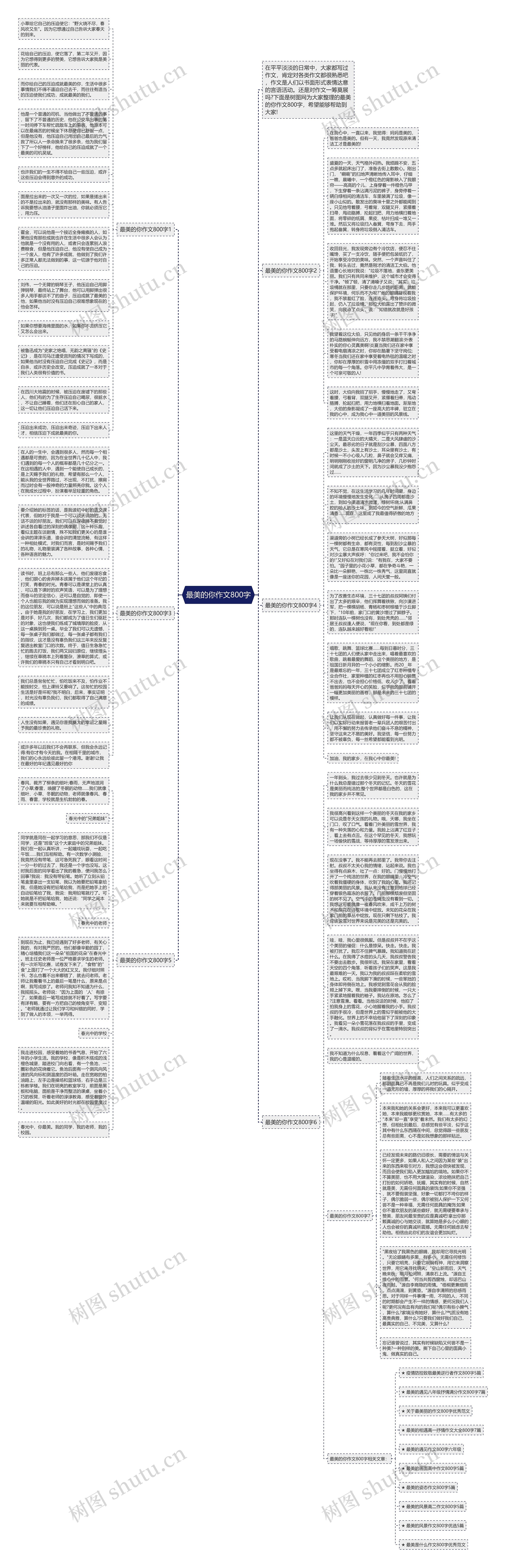 最美的你作文800字思维导图