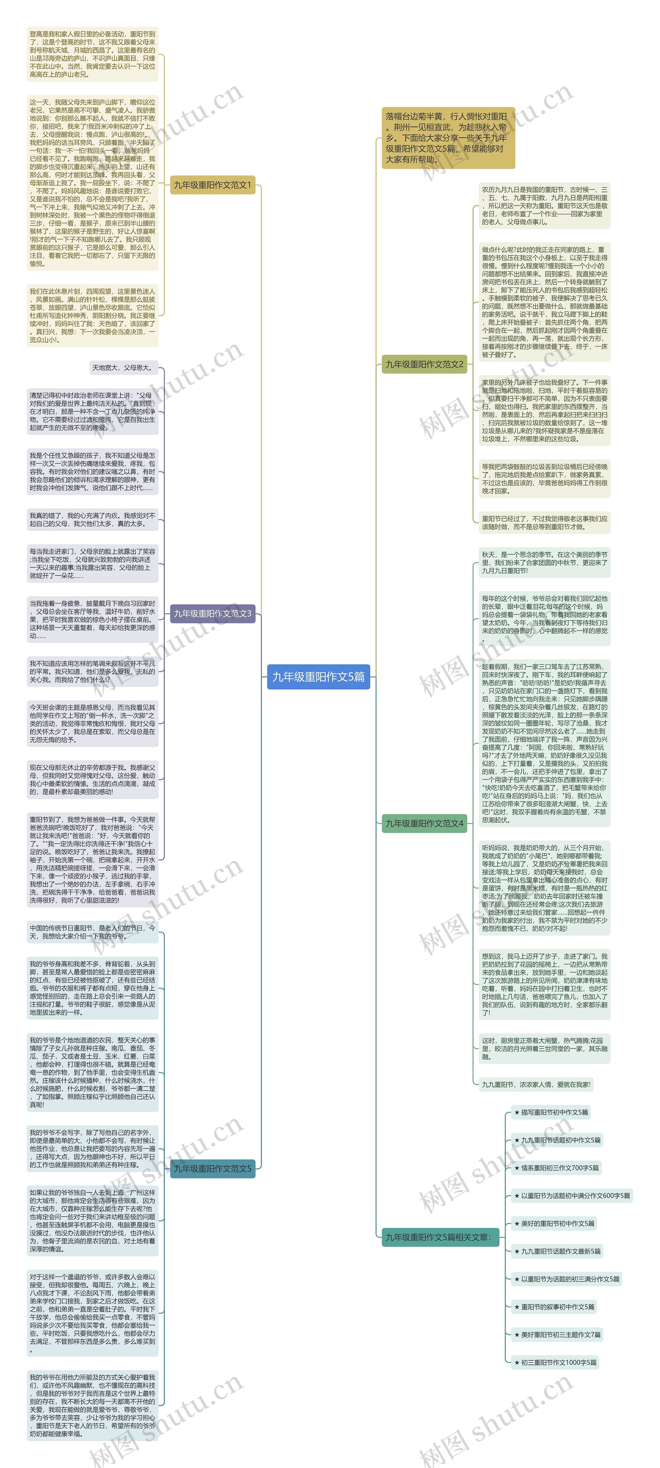 九年级重阳作文5篇思维导图