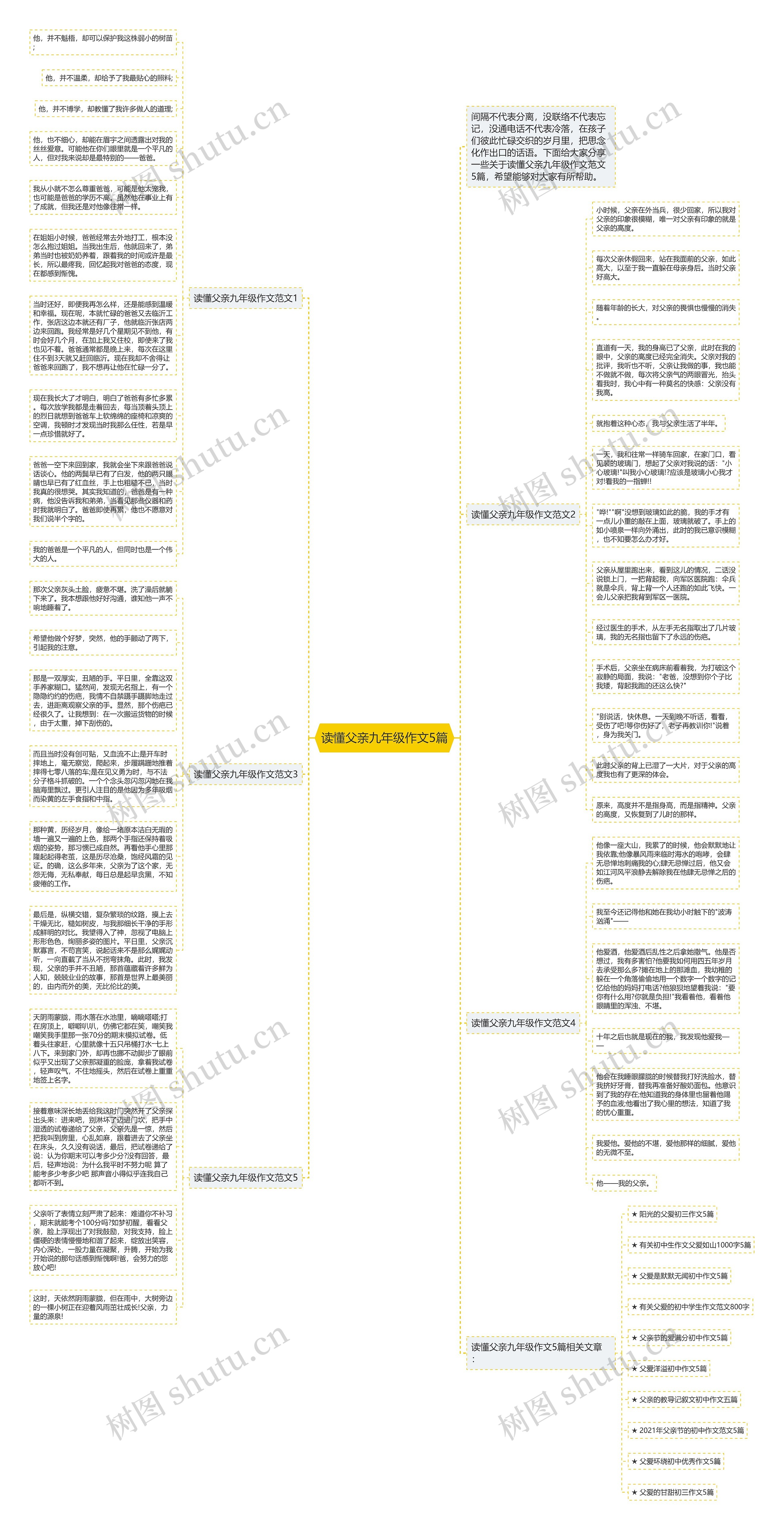 读懂父亲九年级作文5篇思维导图
