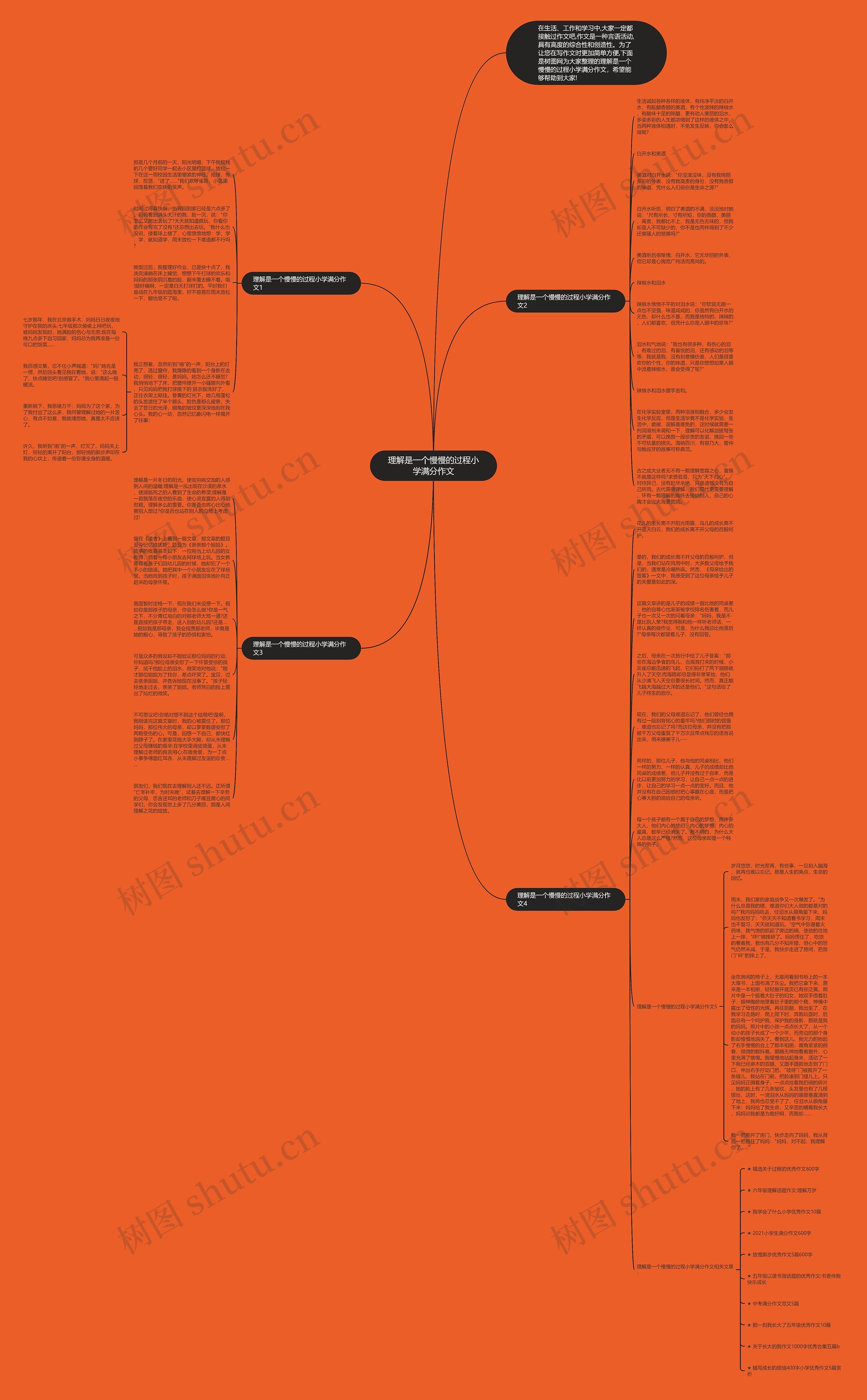 理解是一个慢慢的过程小学满分作文思维导图