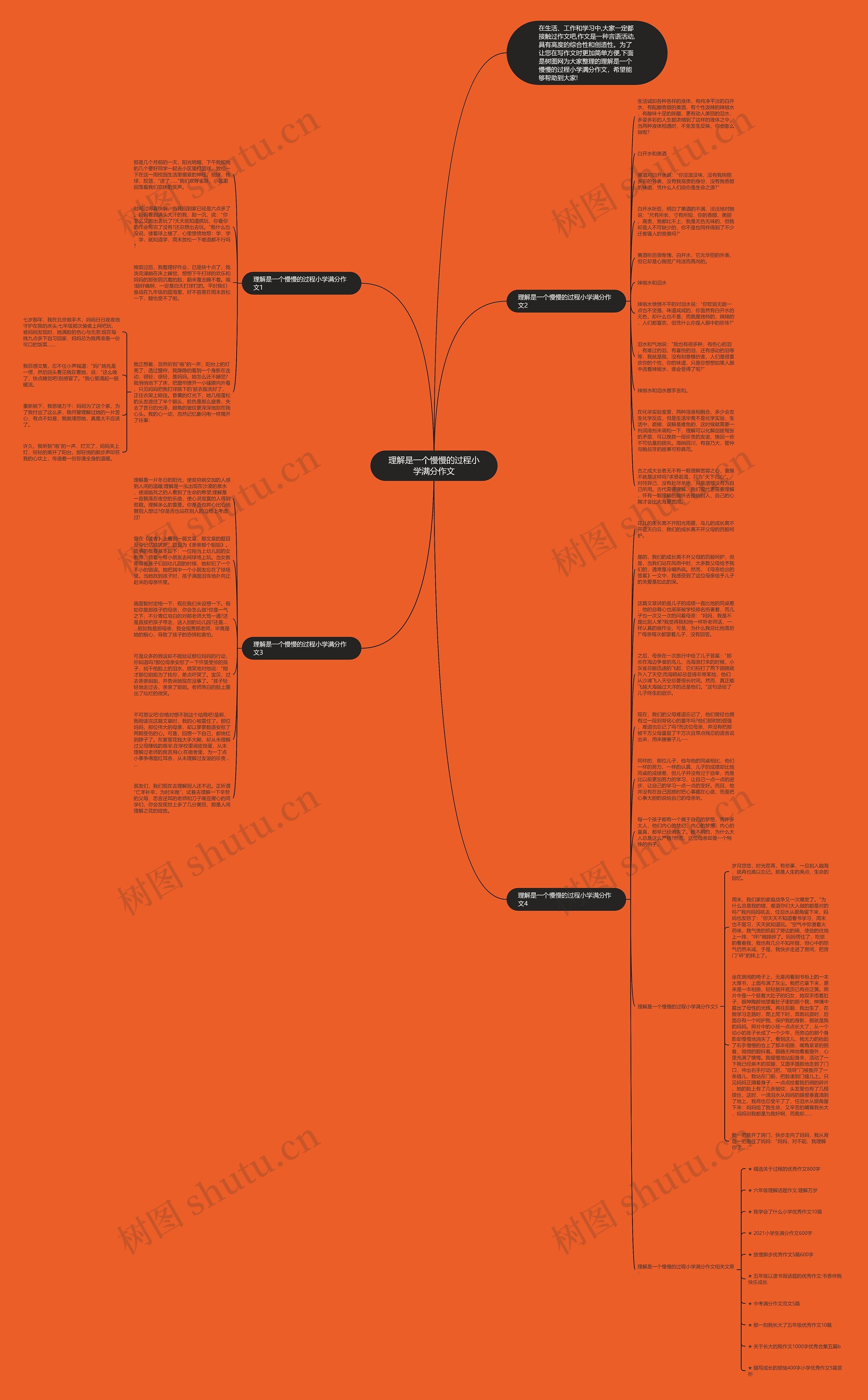 理解是一个慢慢的过程小学满分作文思维导图高清图 理解是一个慢慢的过程小学满分作文思维导图