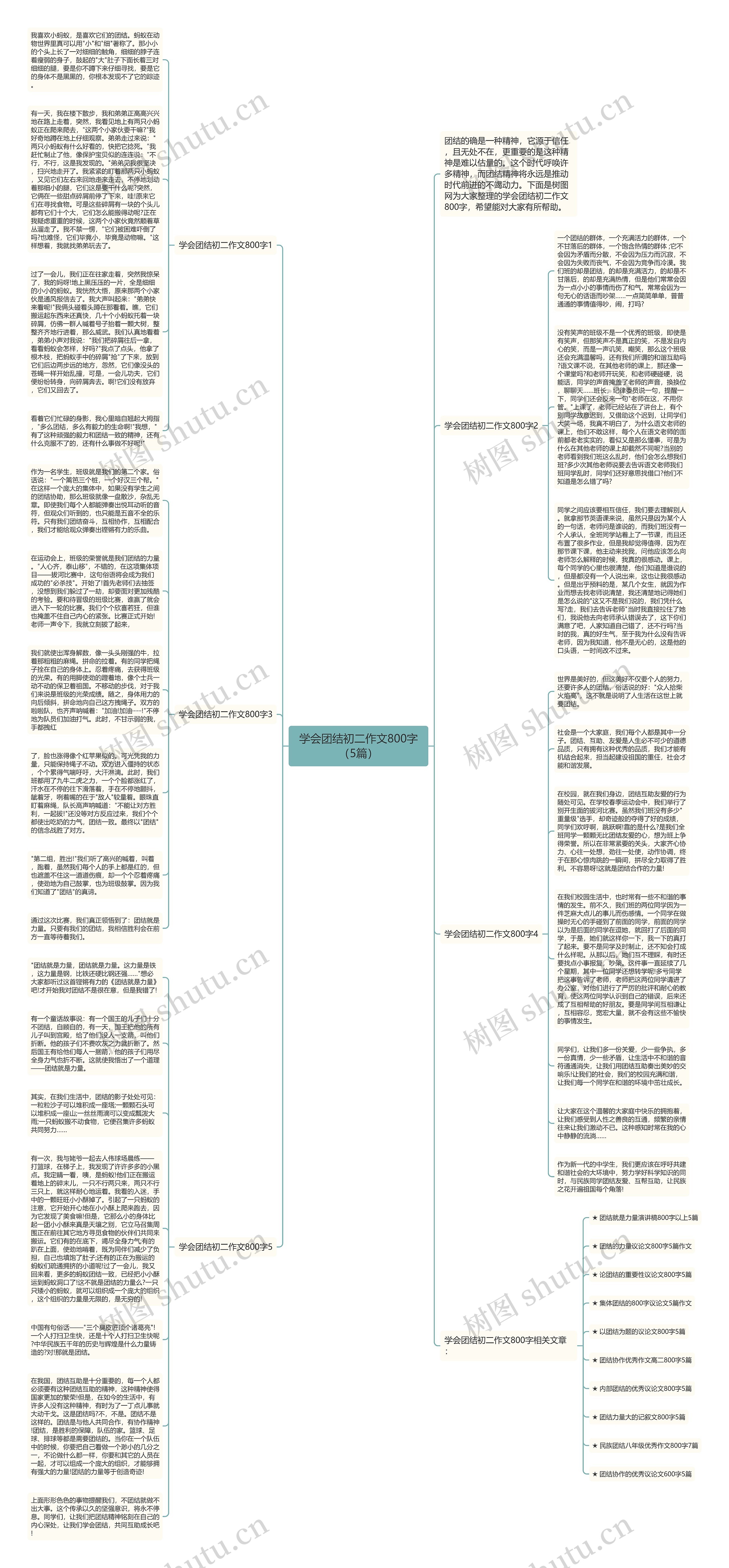 学会团结初二作文800字（5篇）思维导图