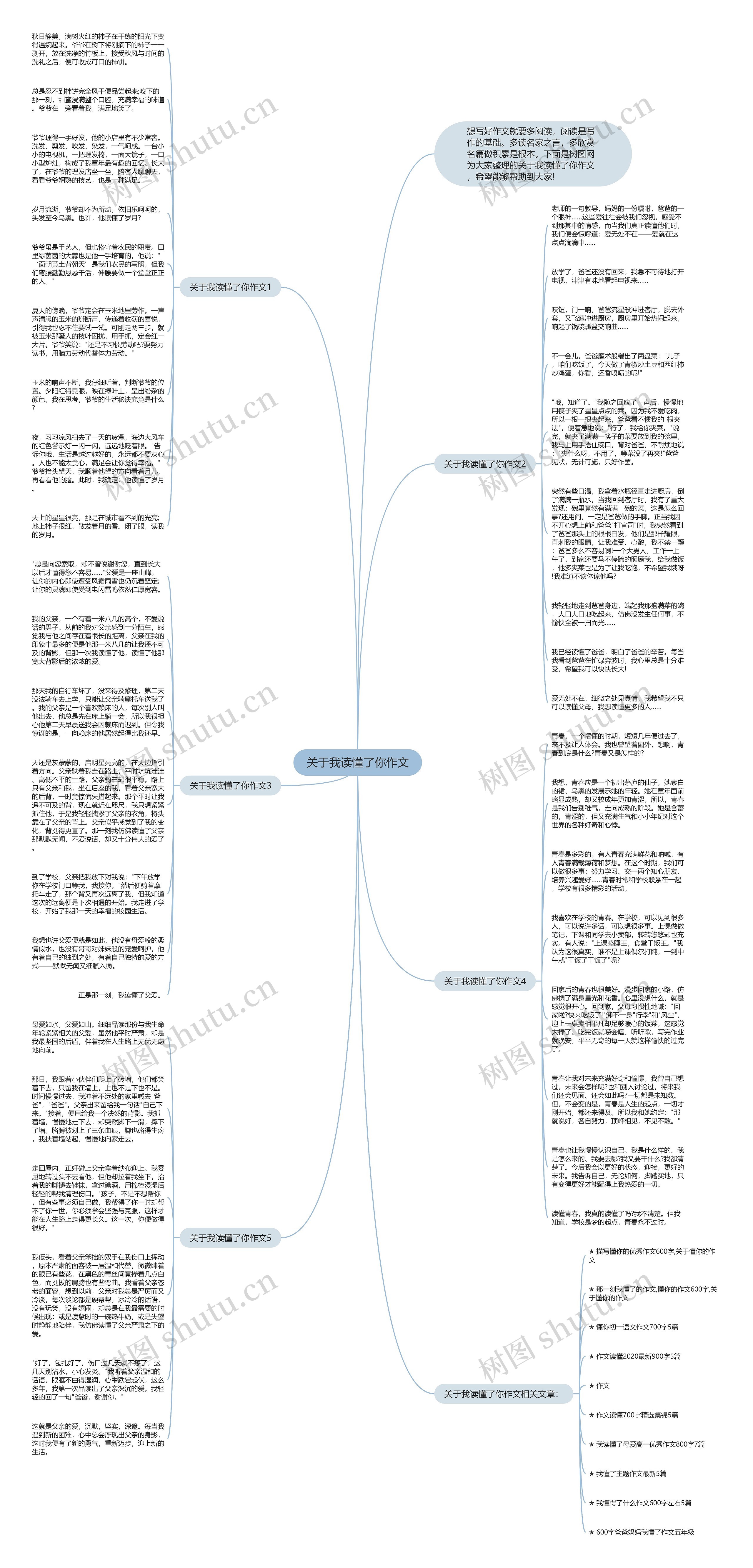 关于我读懂了你作文思维导图