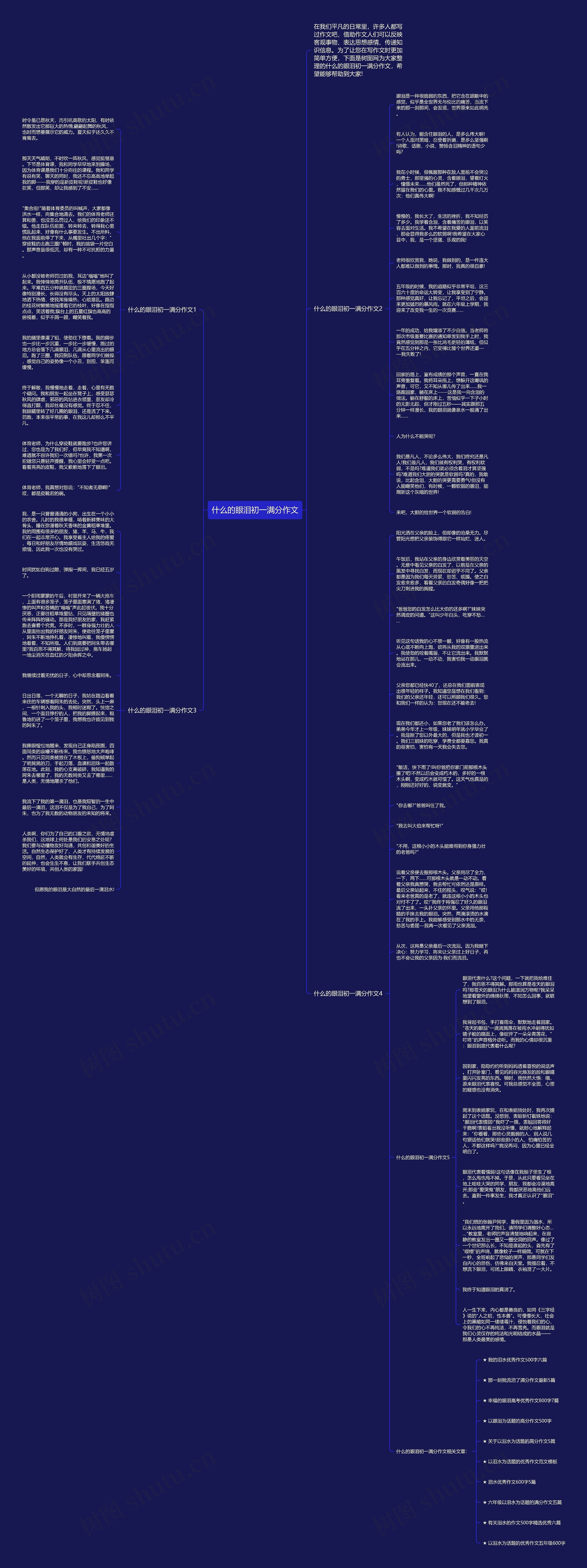 什么的眼泪初一满分作文思维导图高清图 什么的眼泪初一满分作文思维导图