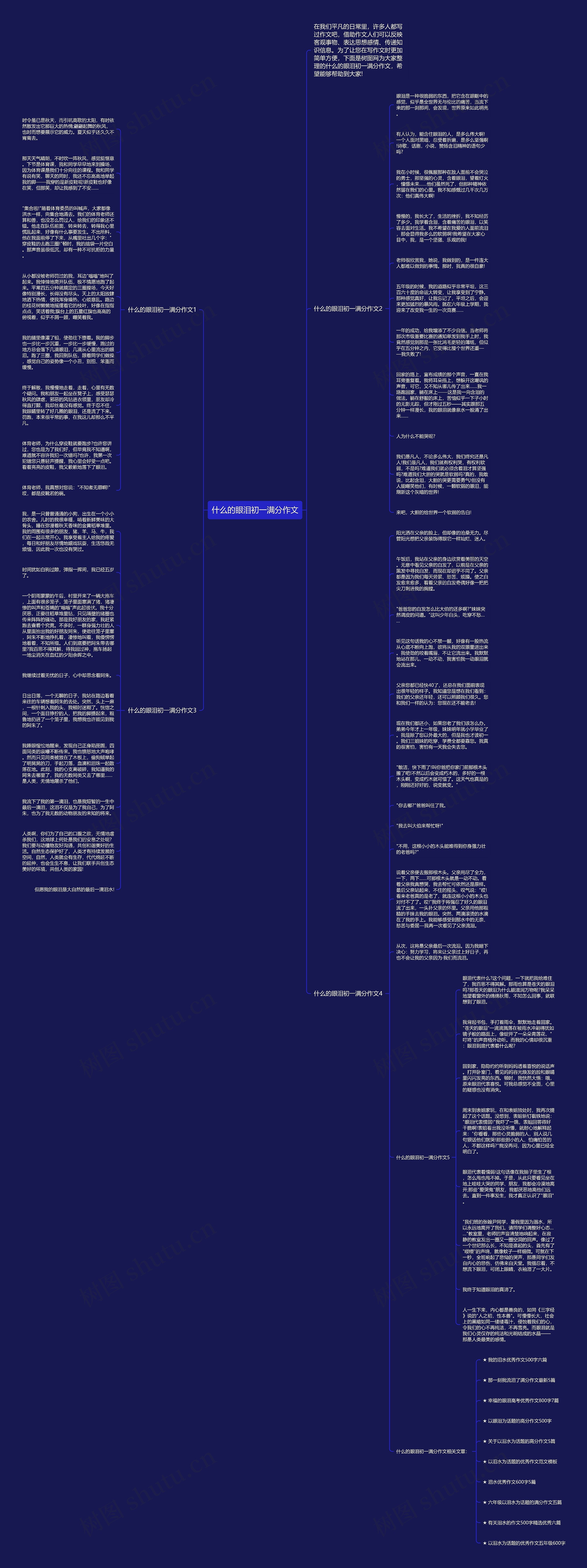 什么的眼泪初一满分作文思维导图