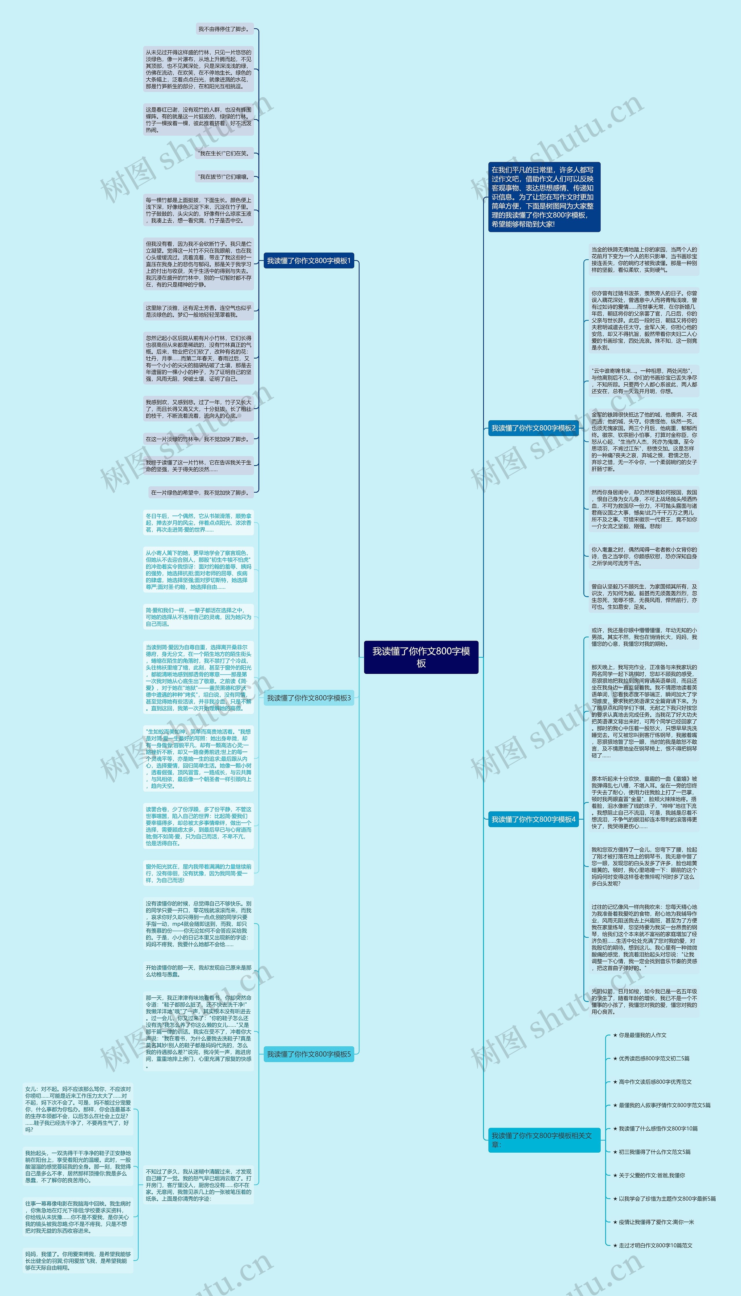 我读懂了你作文800字思维导图