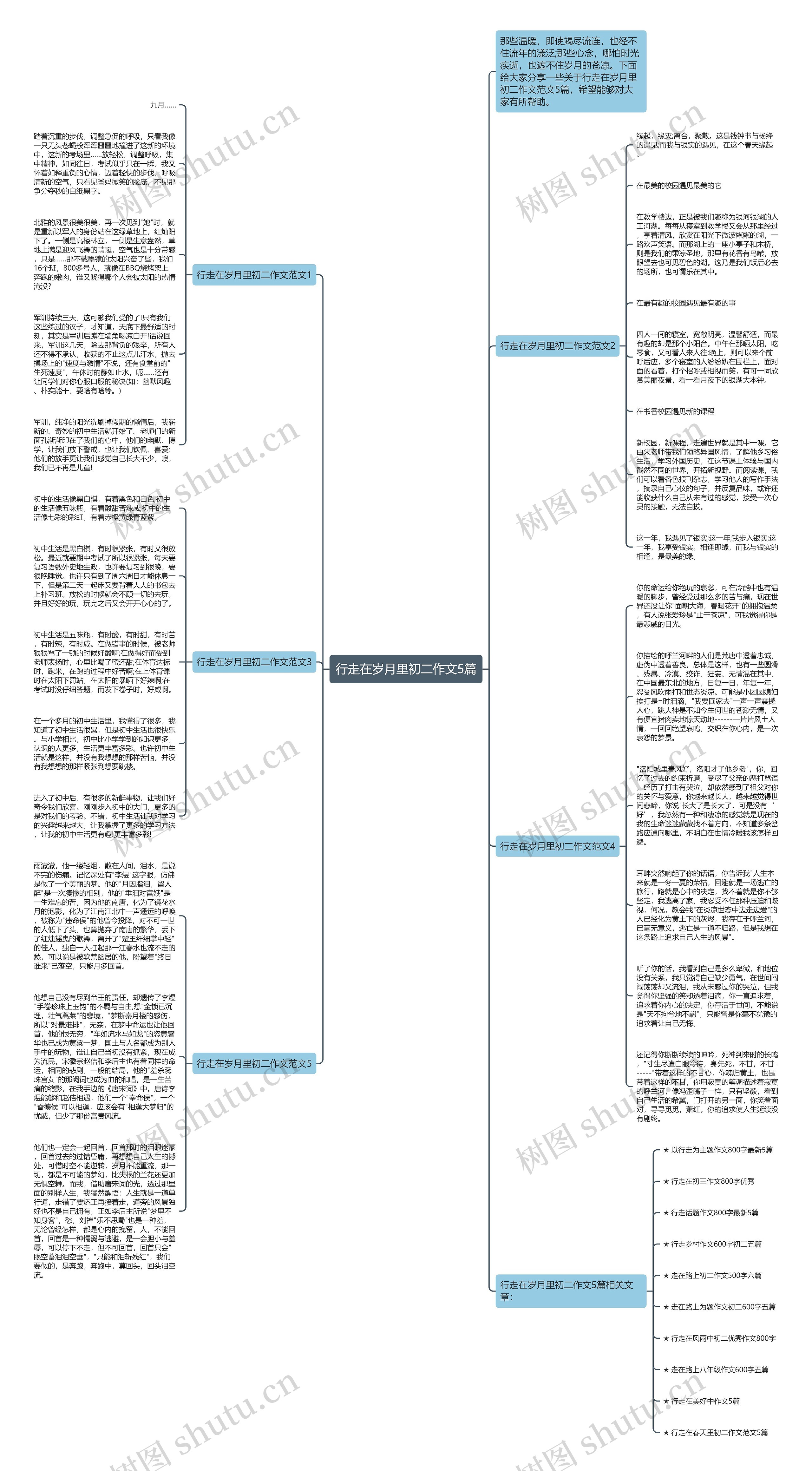 行走在岁月里初二作文5篇思维导图